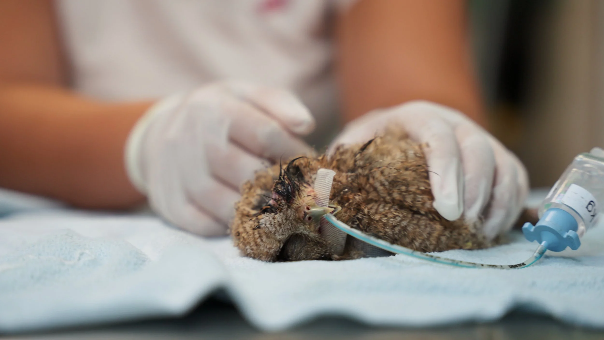 Still 2025-12-18 213052_2.28.1.jpg