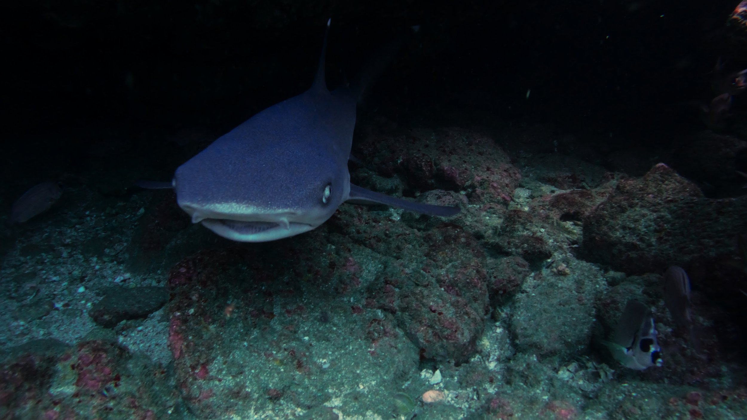 Still 2025-12-18 213052_2.6.1.jpg