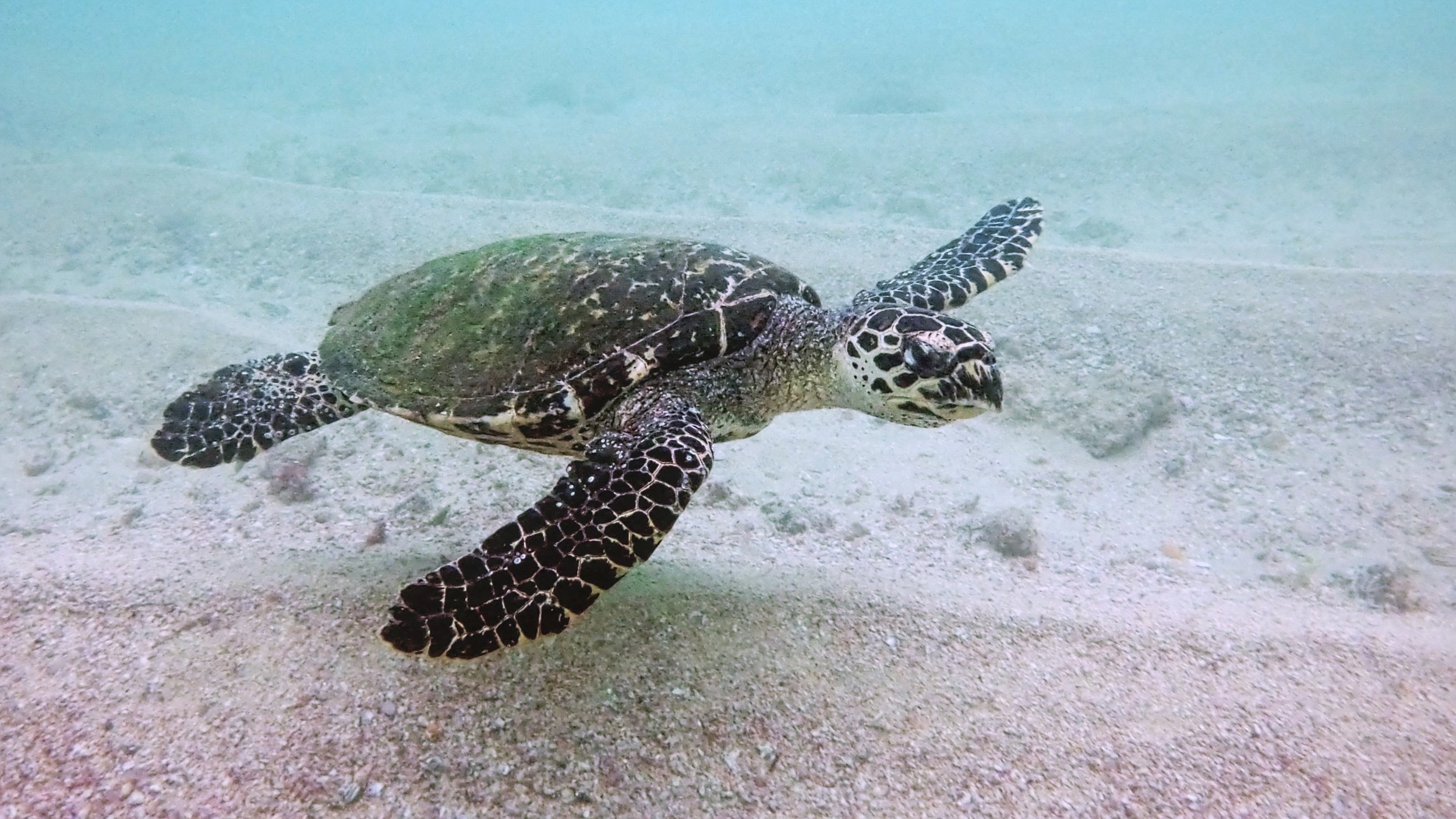 Still 2026-02-04 235556_2.8.1.jpg