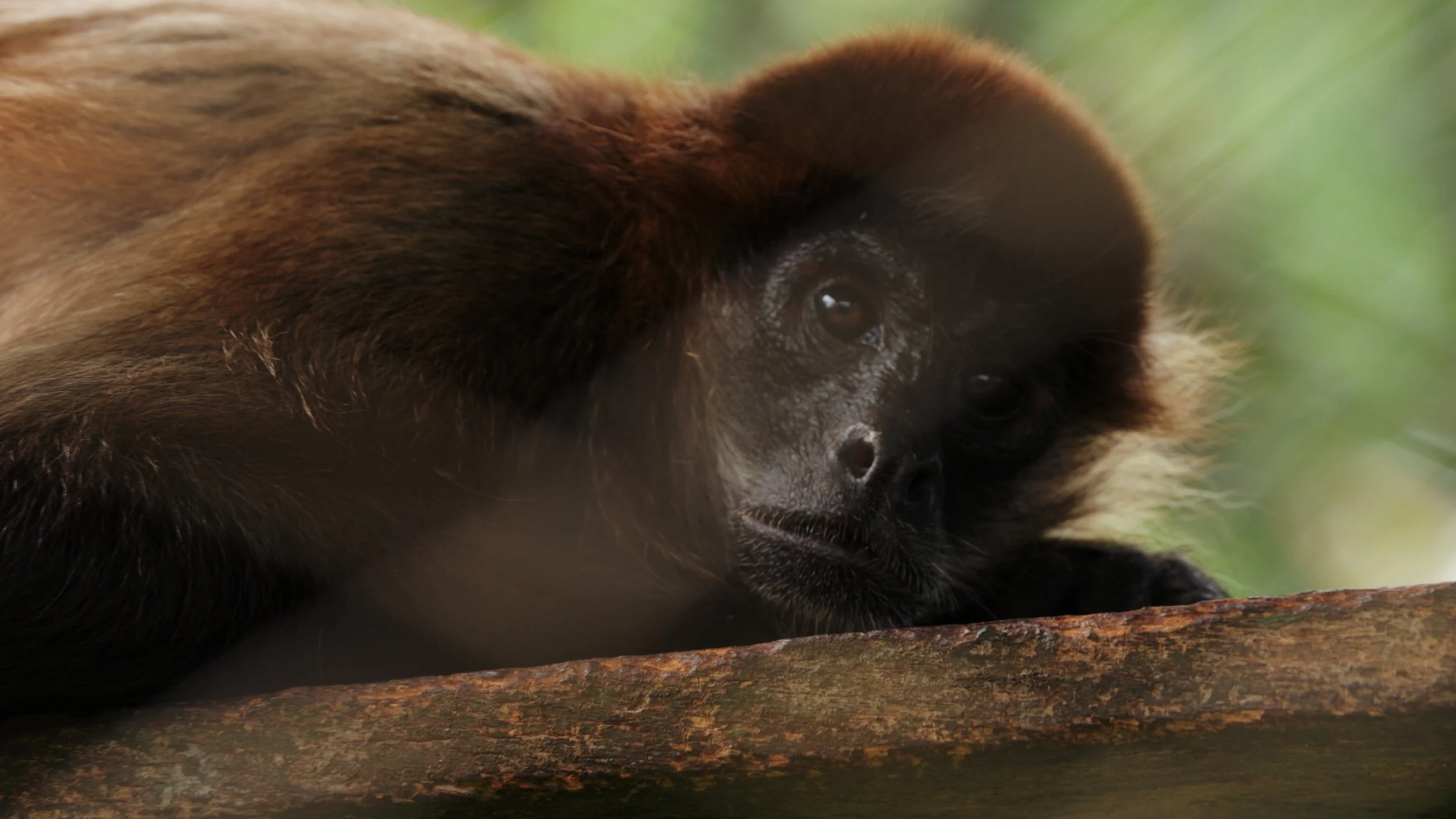 Still 2025-12-18 213052_3.9.1.jpg