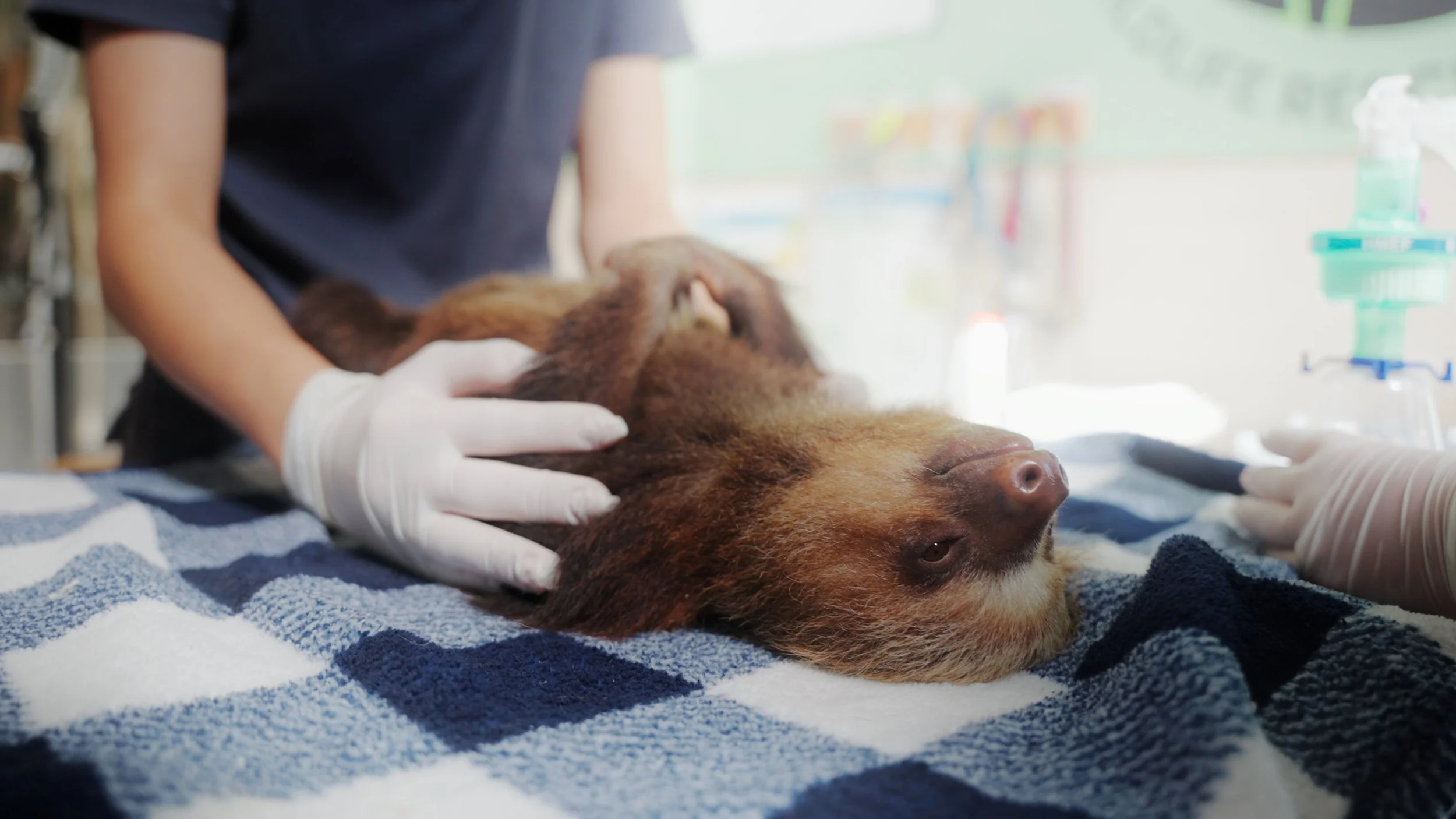 Still 2025-12-18 213052_1.4.5.jpg