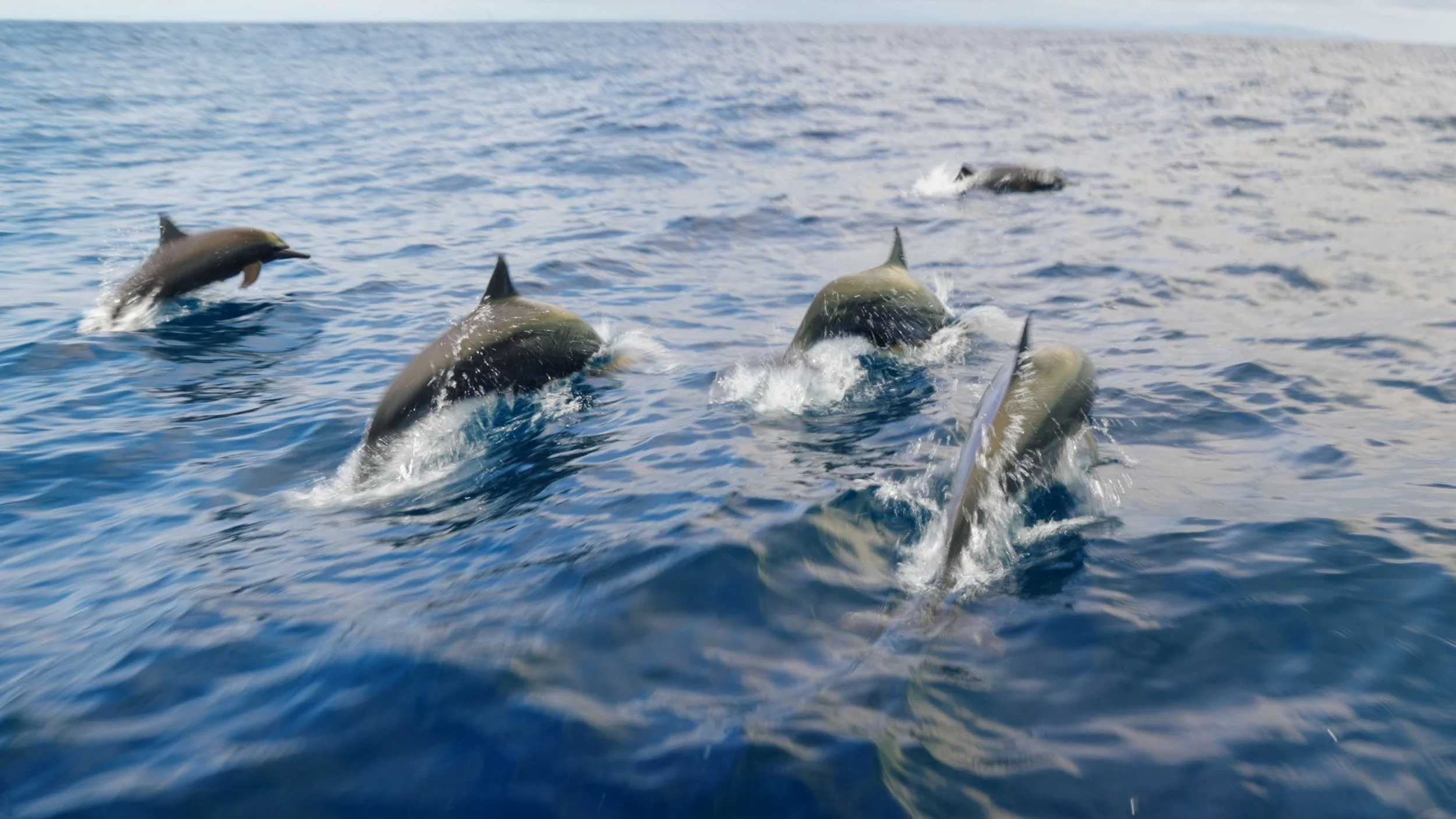 Still 2026-02-04 235556_5.1.1.jpg