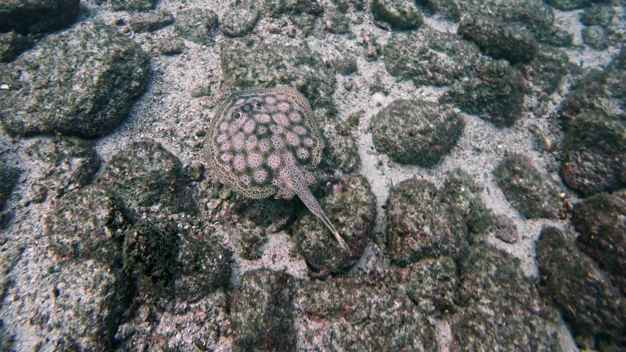 Still 2026-02-04 235556_2.6.1.jpg