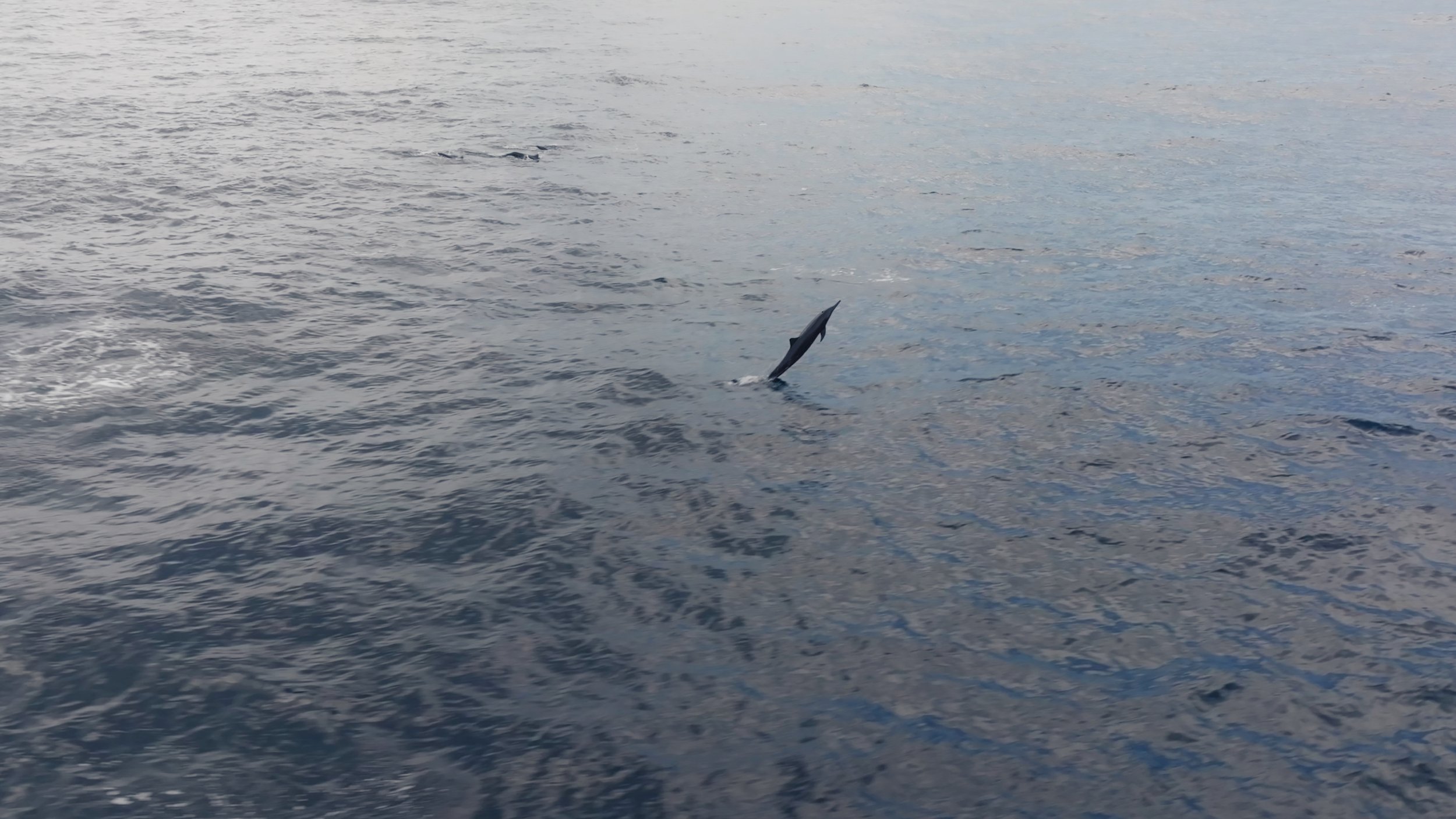 Still 2025-12-18 213052_2.61.1.jpg