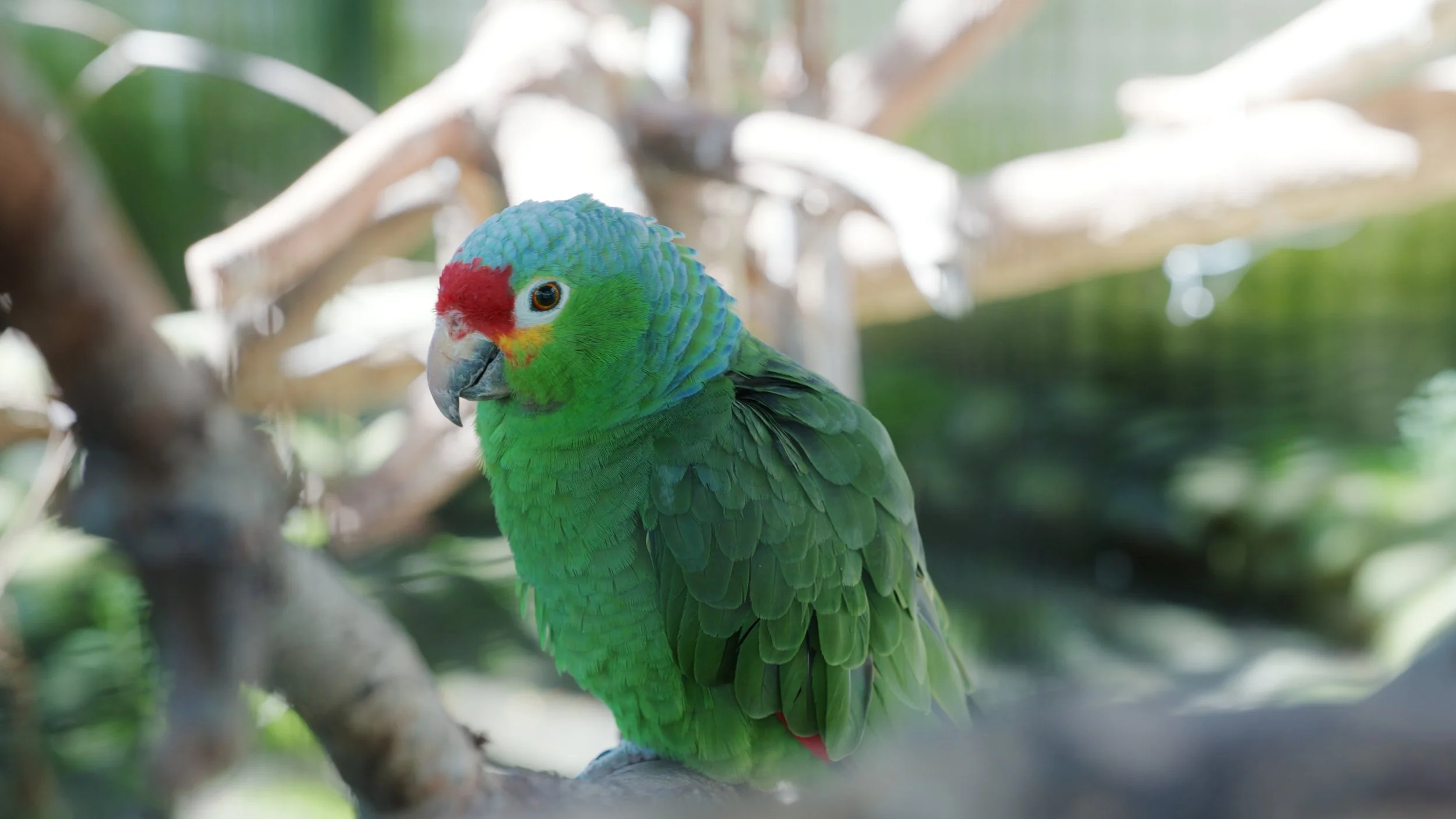 Still 2025-12-18 213052_3.7.1.jpg