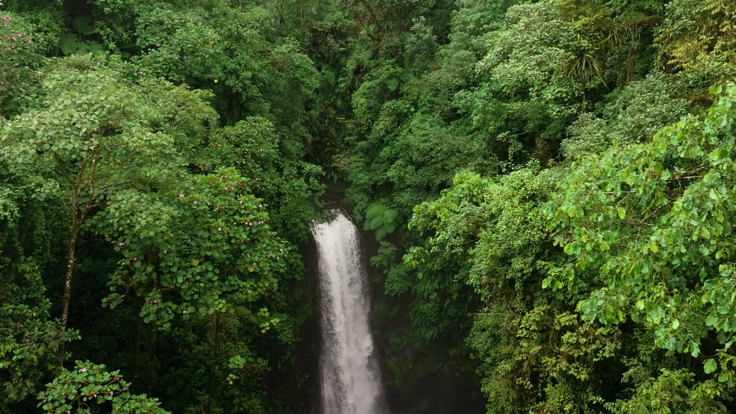 Still 2025-12-18 213052_2.62.4.jpg