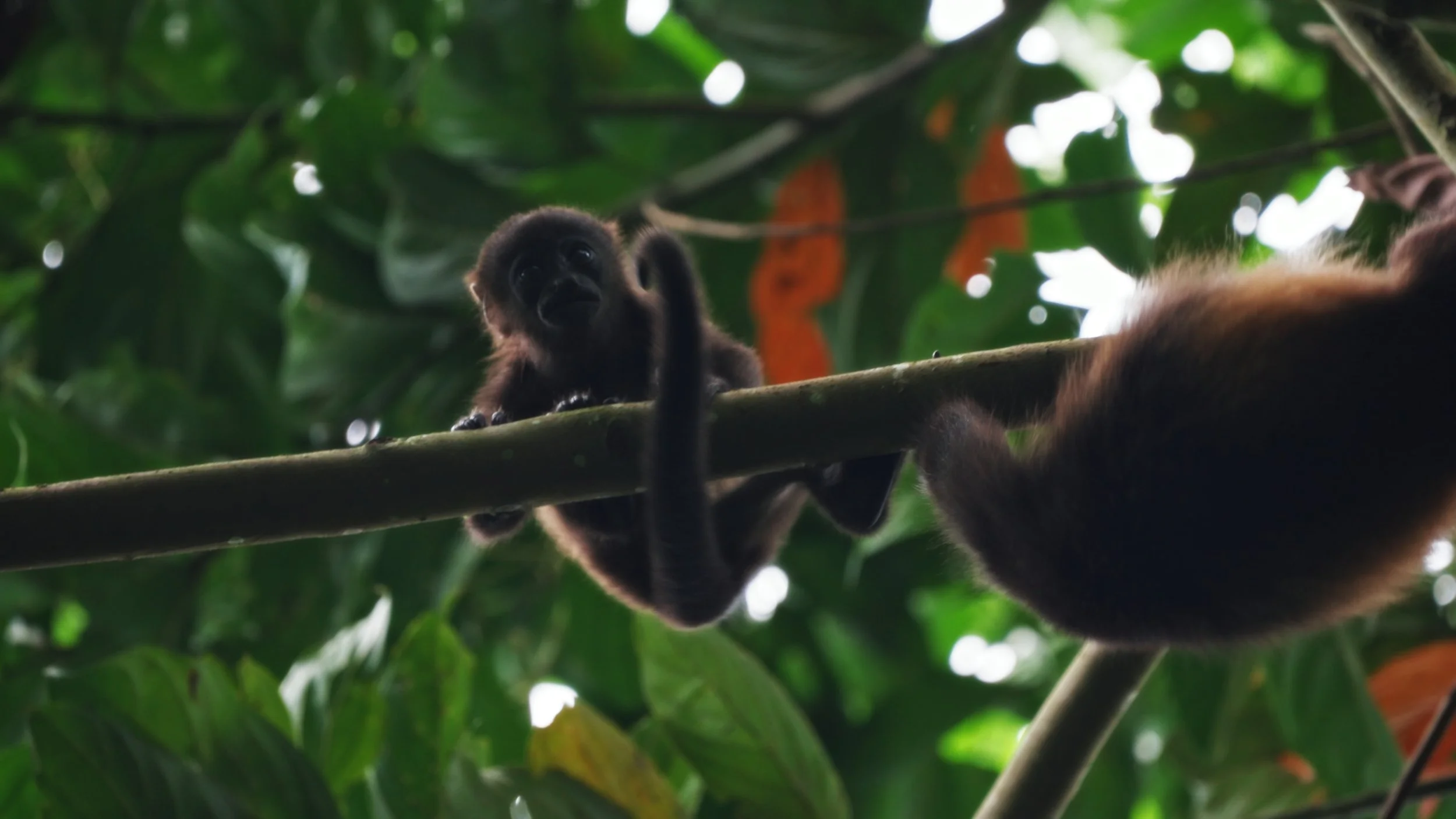 Still 2025-12-18 213052_1.9.2.jpg