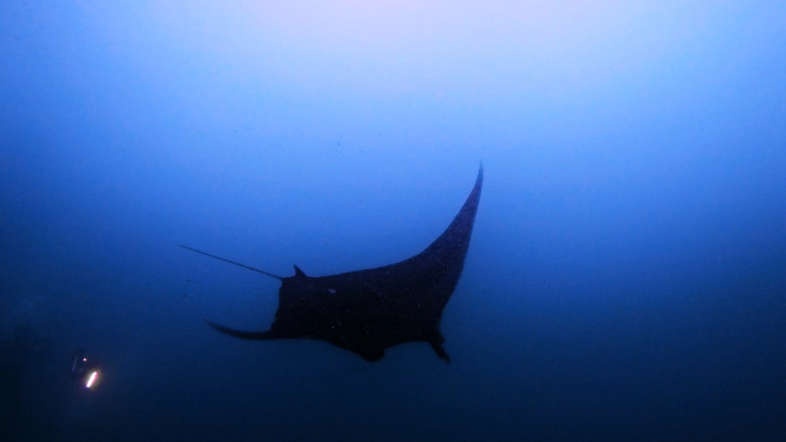 Still 2026-02-04 235556_3.3.1.jpg