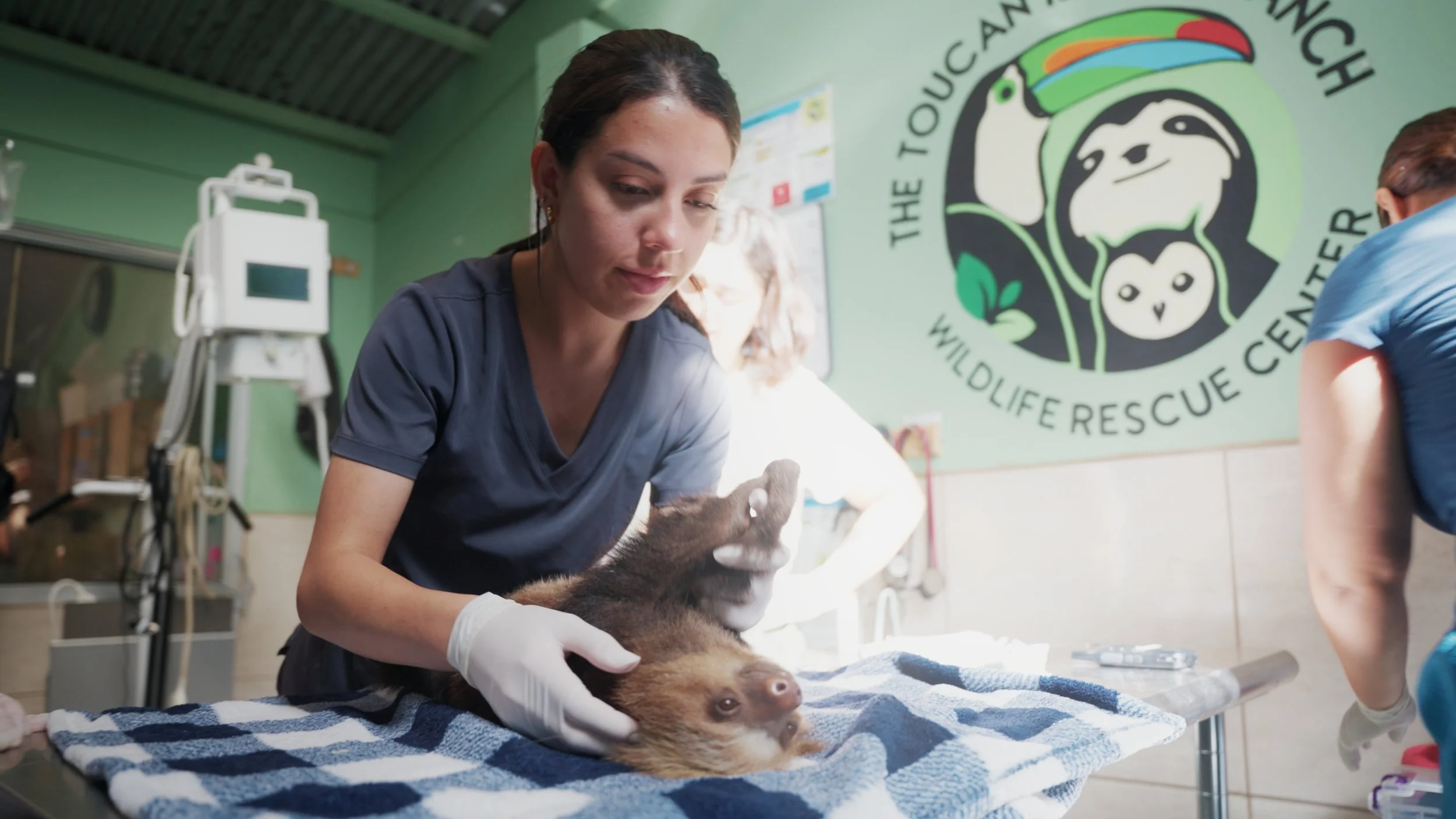 Still 2025-12-18 213052_1.4.3.jpg