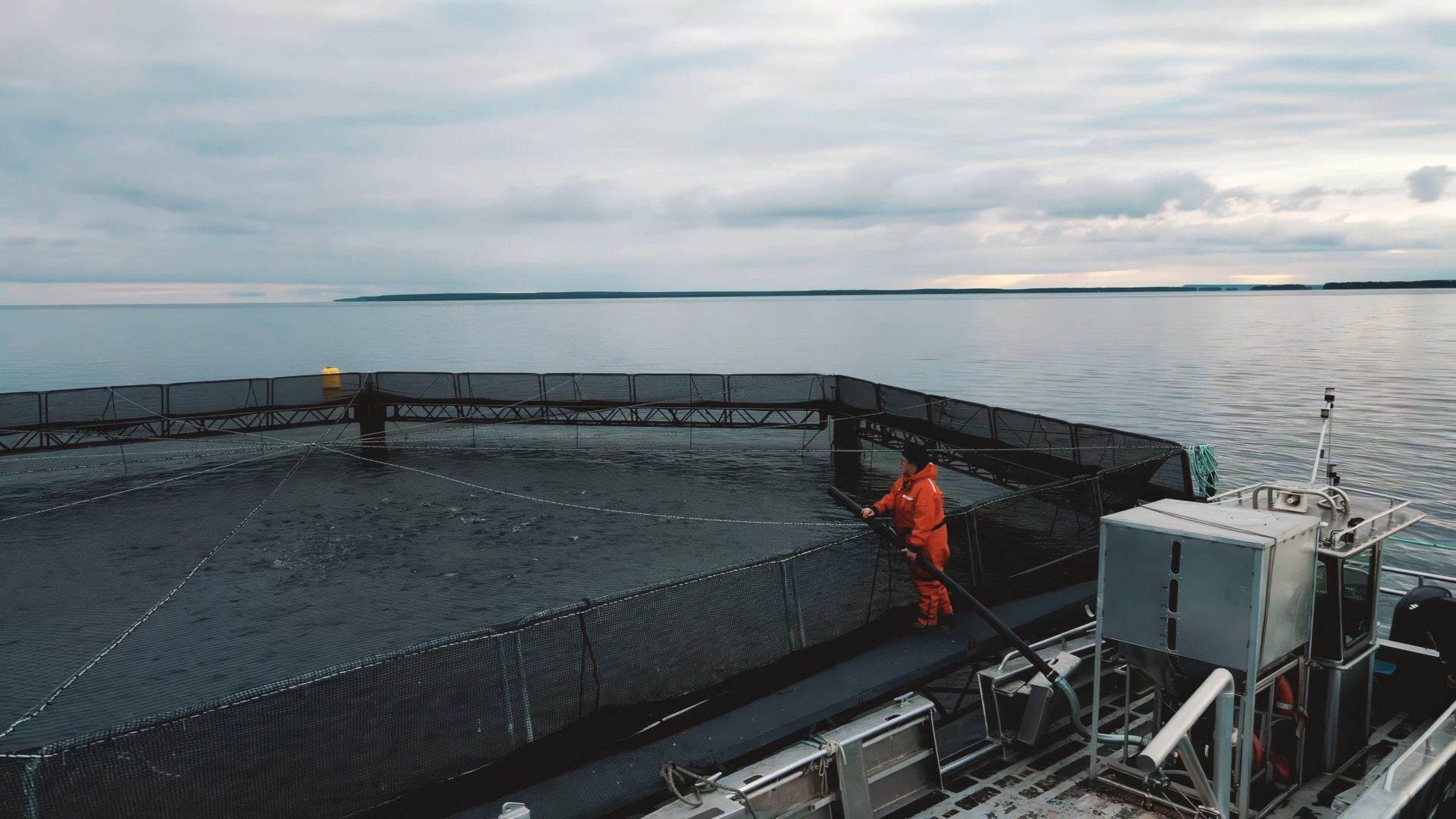 Still 2024-12-08 170924_1.1.10.jpg