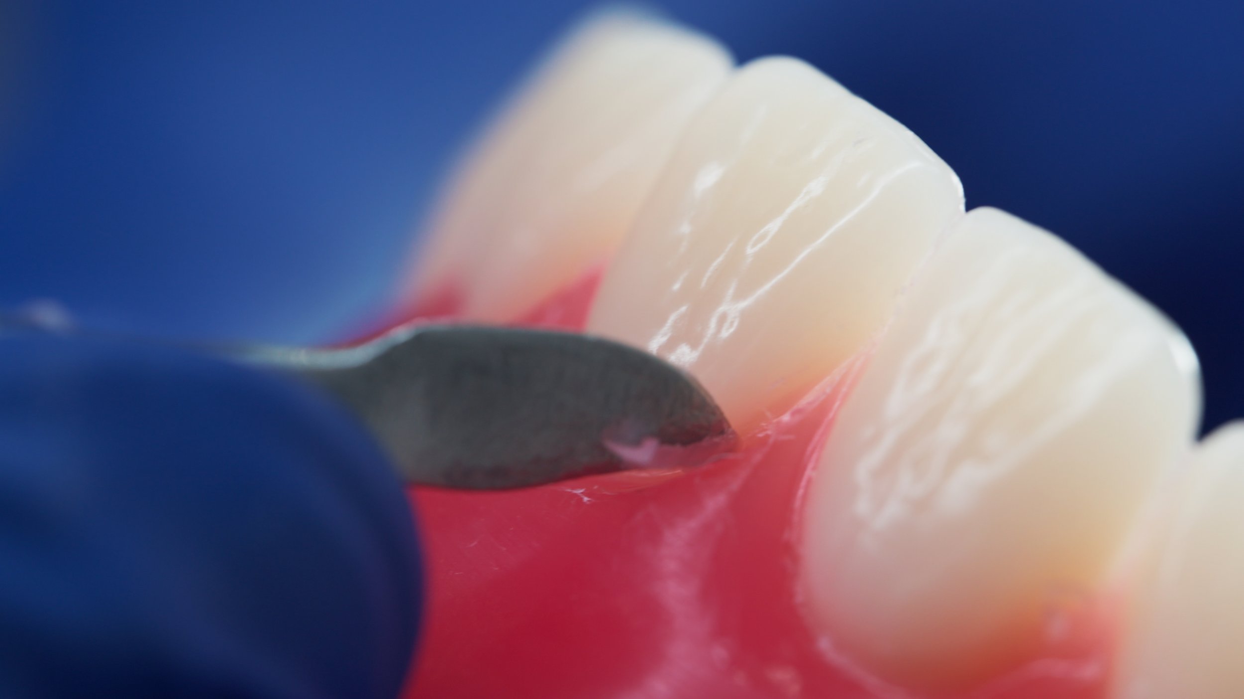 Still 2025-11-24 202439_2.18.1.jpg