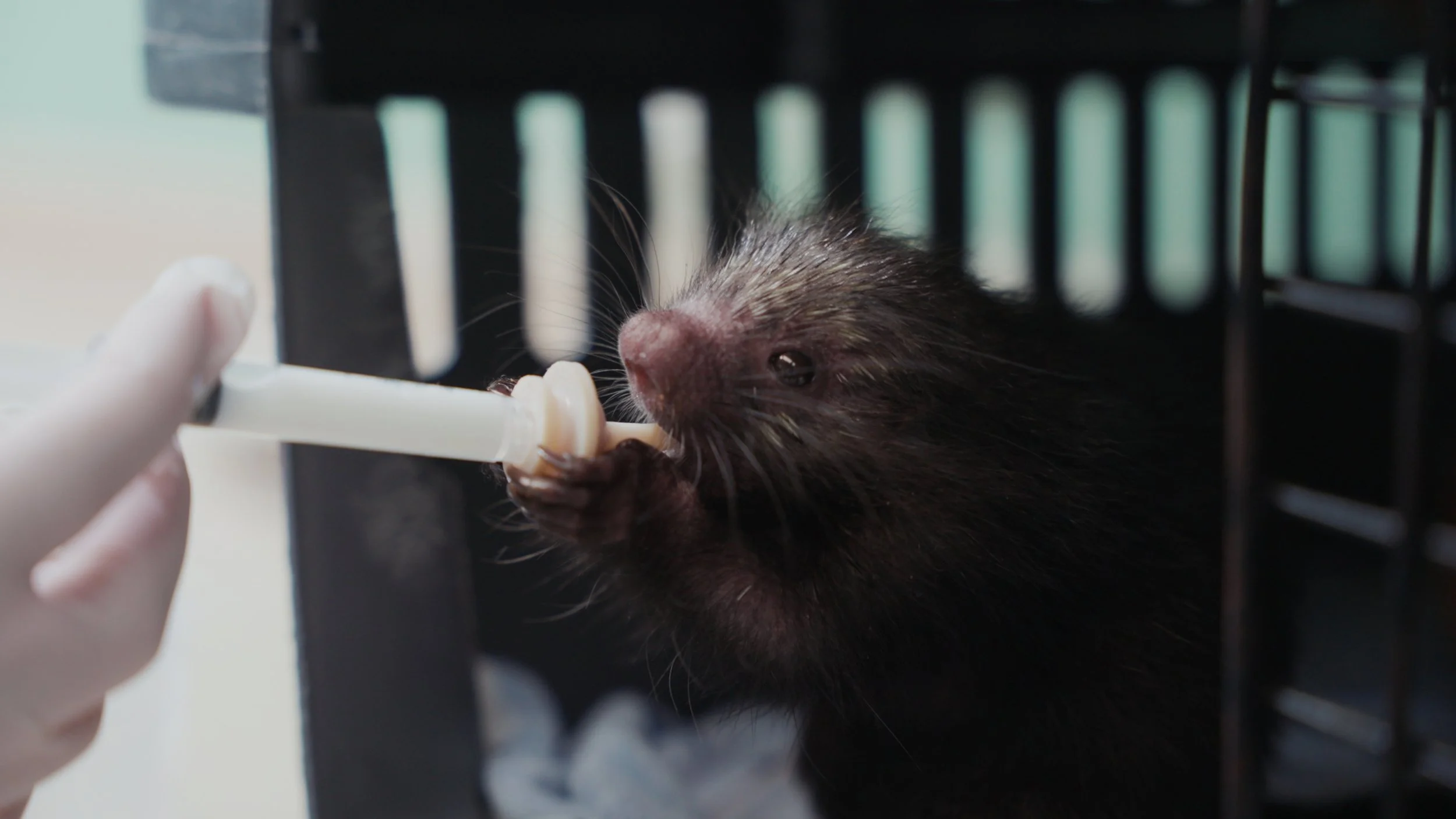 Still 2025-12-18 213052_1.5.3.jpg