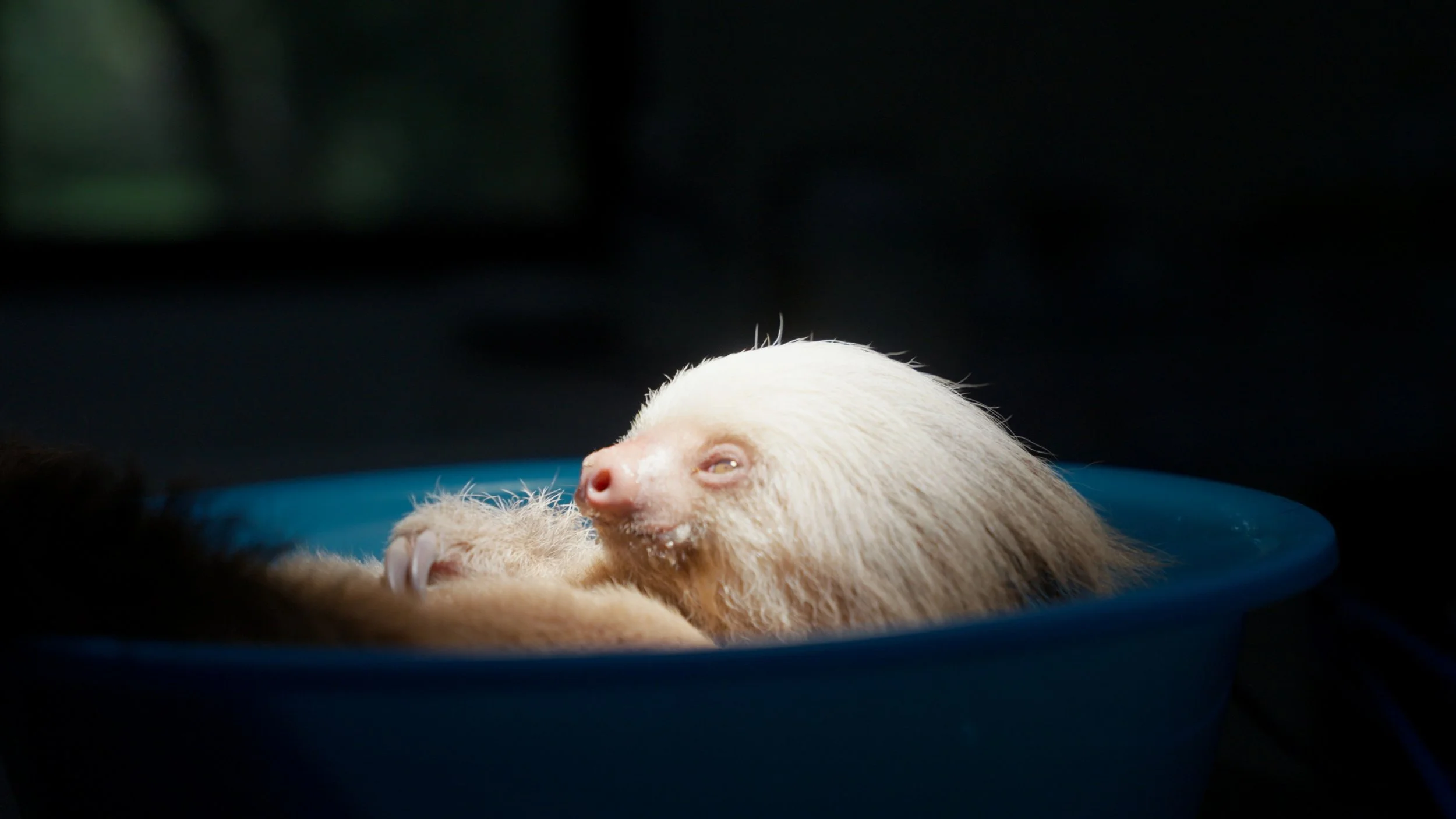 Still 2025-12-18 213052_1.4.7.jpg