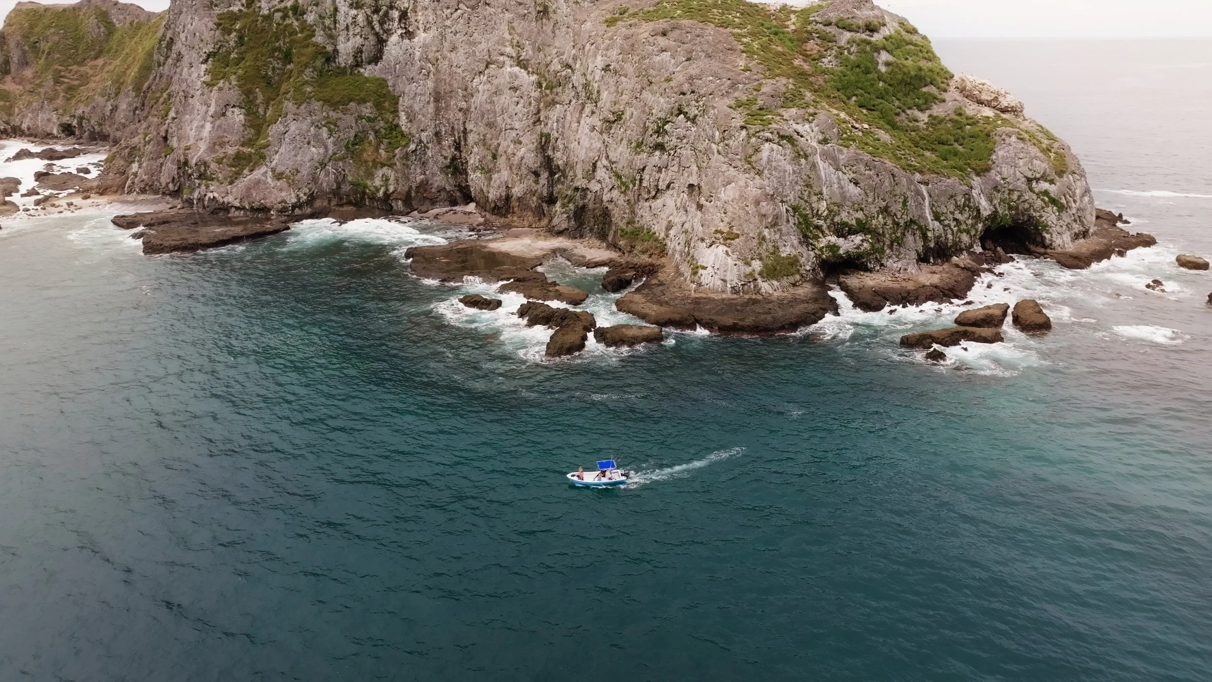 Still 2026-02-04 235556_3.4.1.jpg