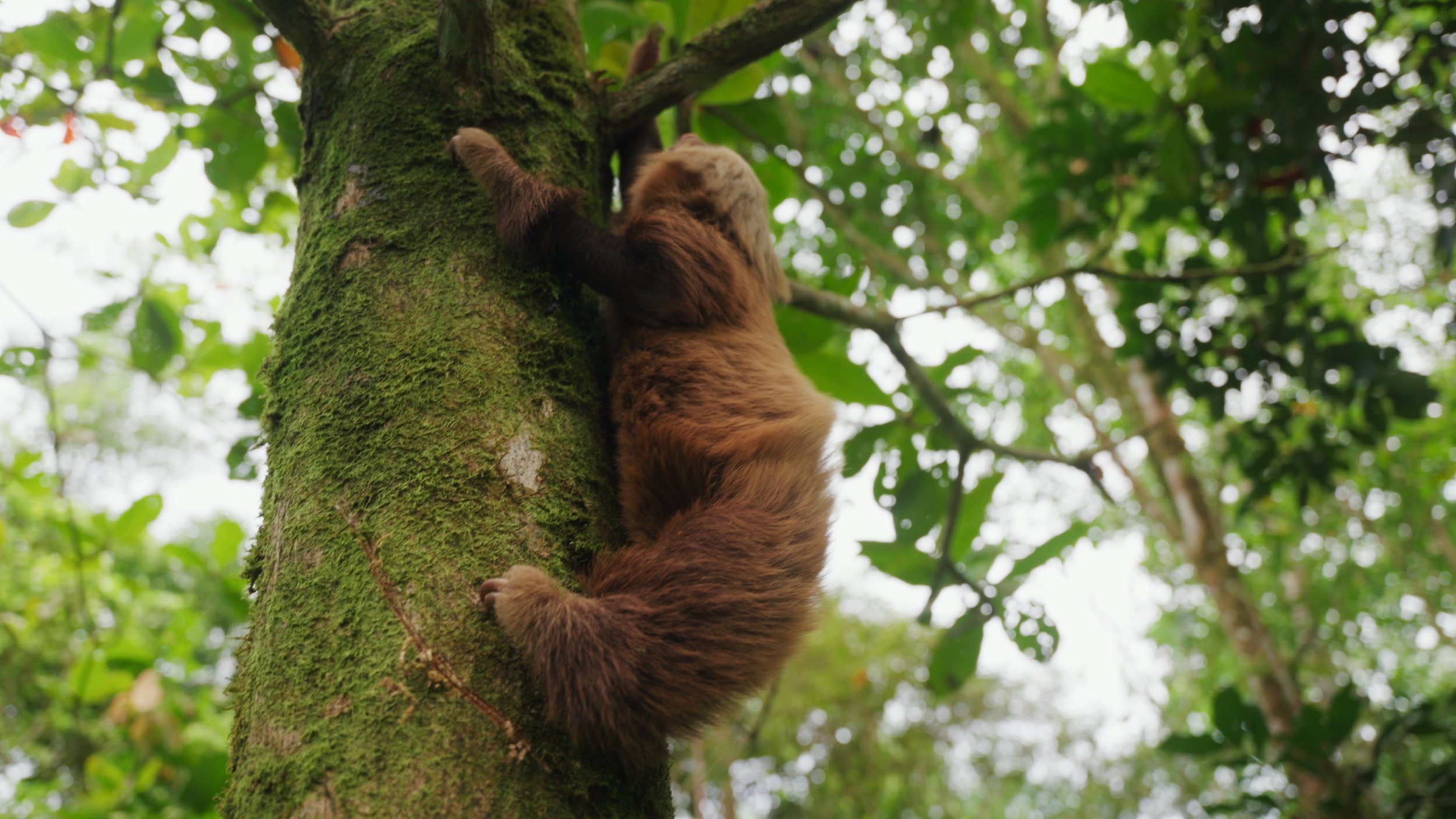 Still 2025-12-18 213052_2.54.1.jpg