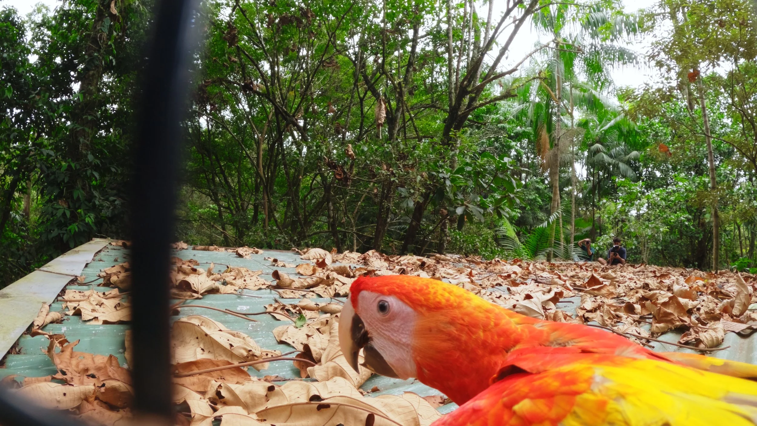 Still 2025-12-18 213052_1.6.1.jpg