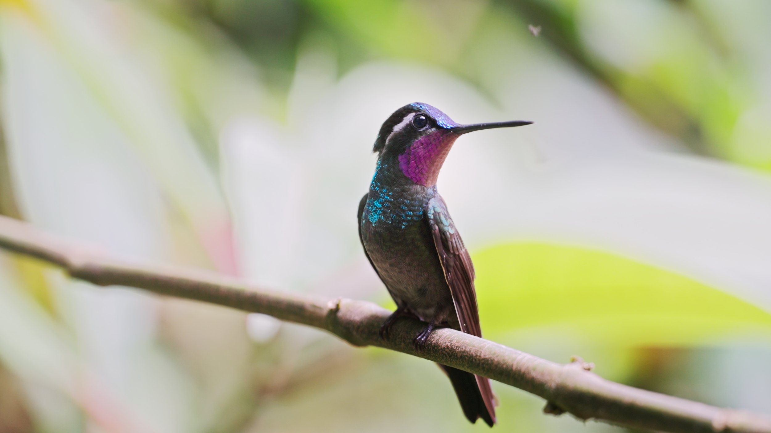 Still 2025-12-18 213052_2.10.1.jpg