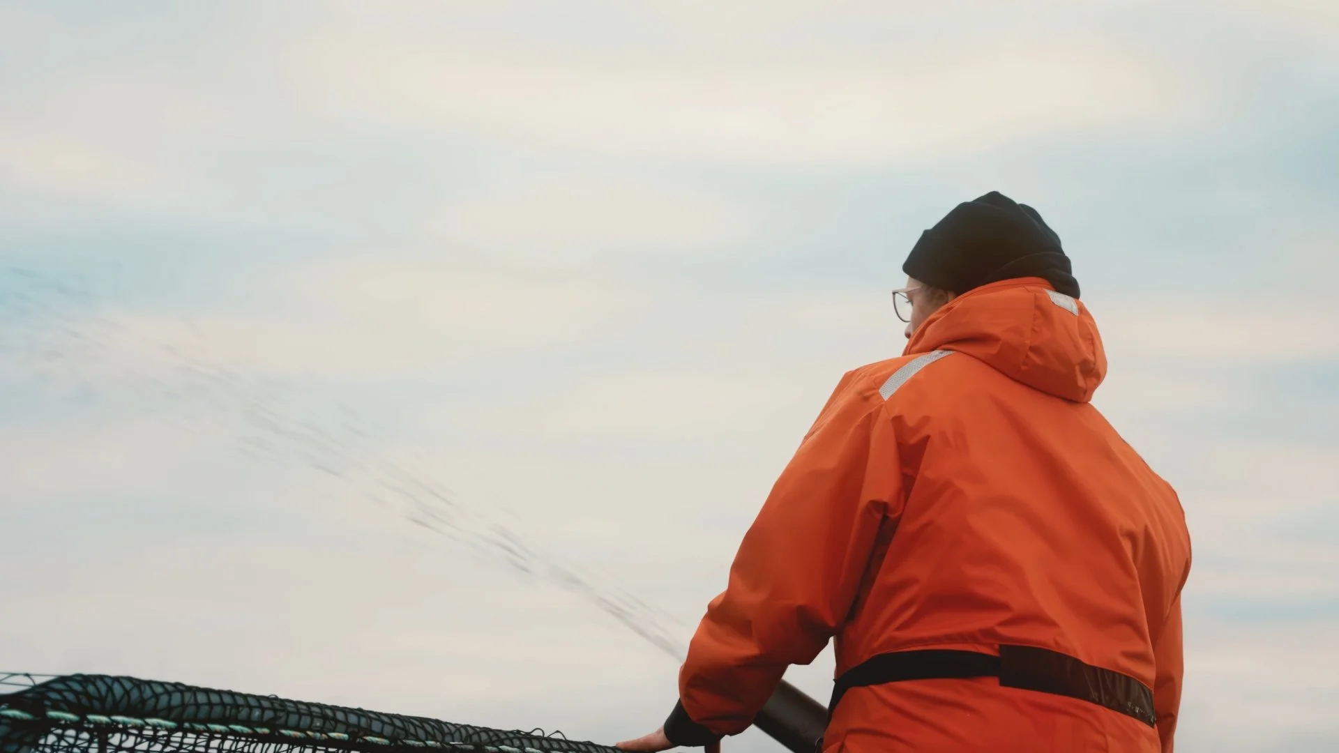 Still 2024-12-08 170924_1.1.9.jpg