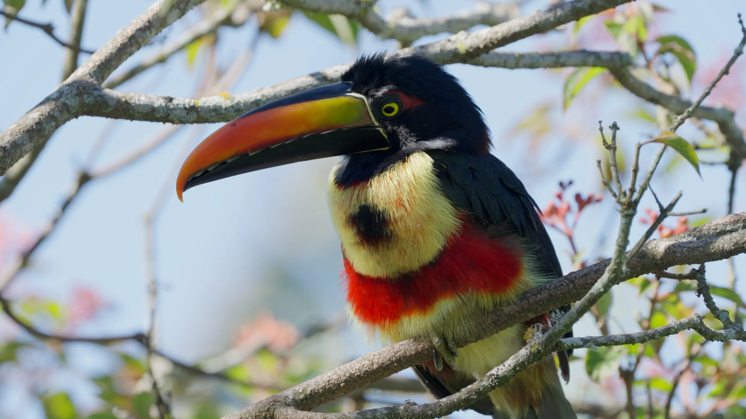 Still 2026-01-07 191441_2.69.1.jpg