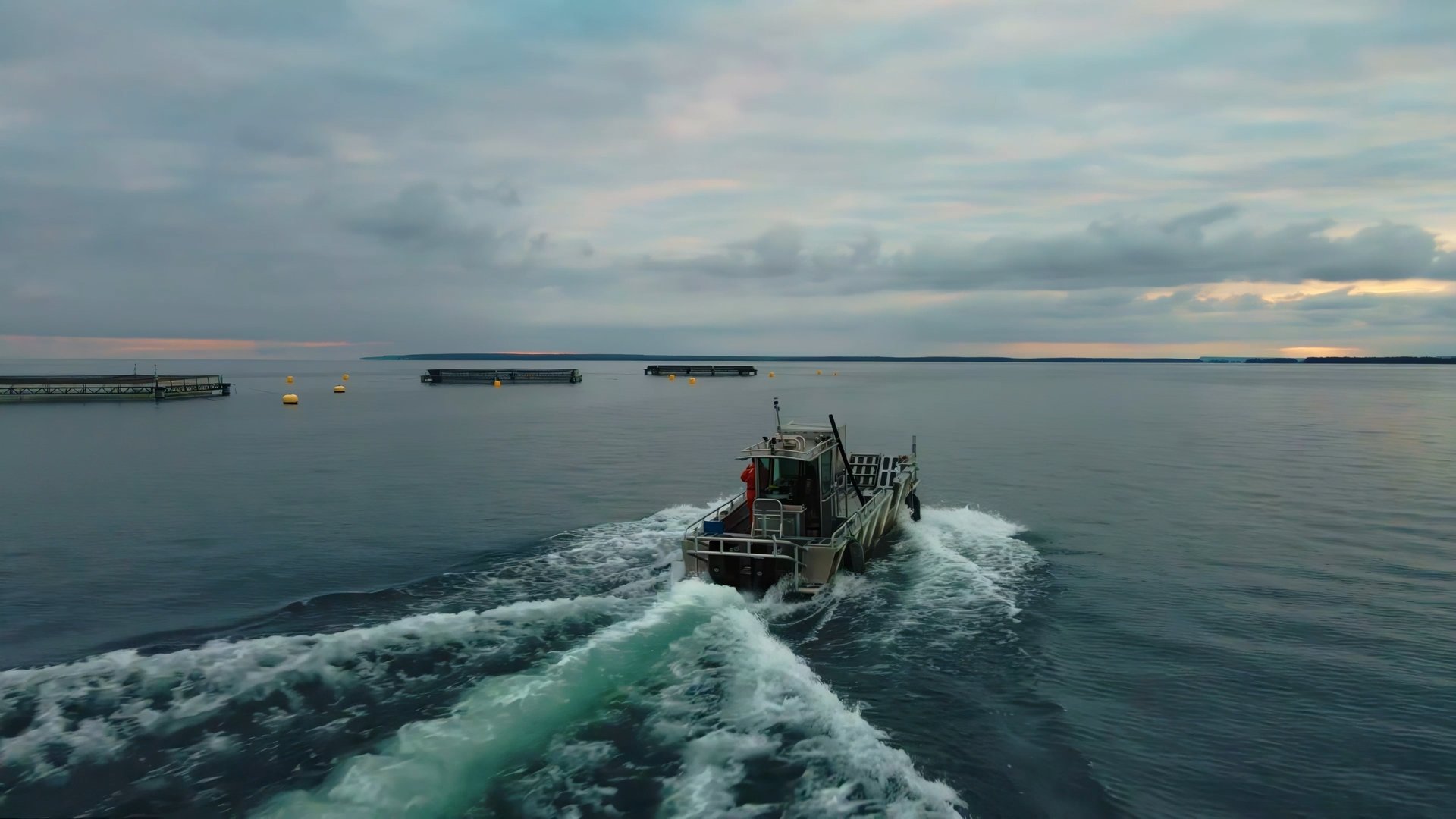 Still 2024-12-08 170924_1.1.1.jpg