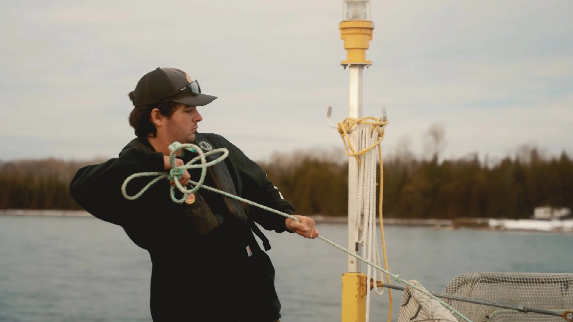 Still 2024-12-08 170924_1.1.11.jpg