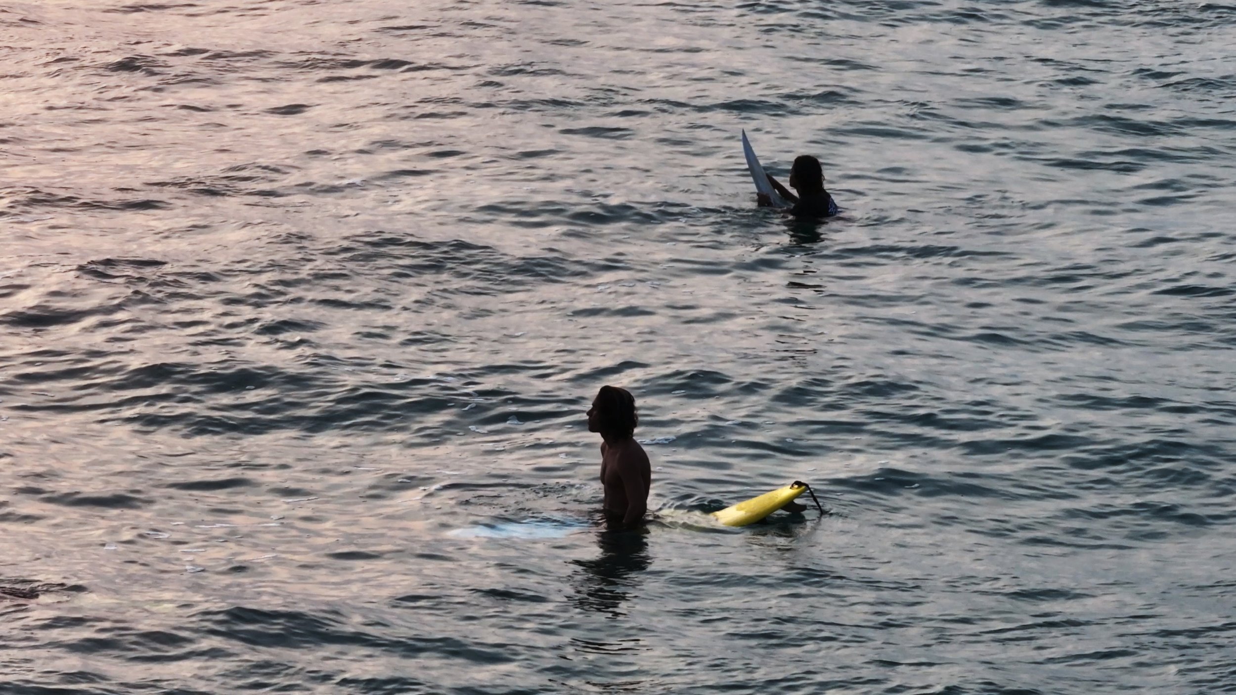 Still 2026-01-30 125538_3.1.1.jpg