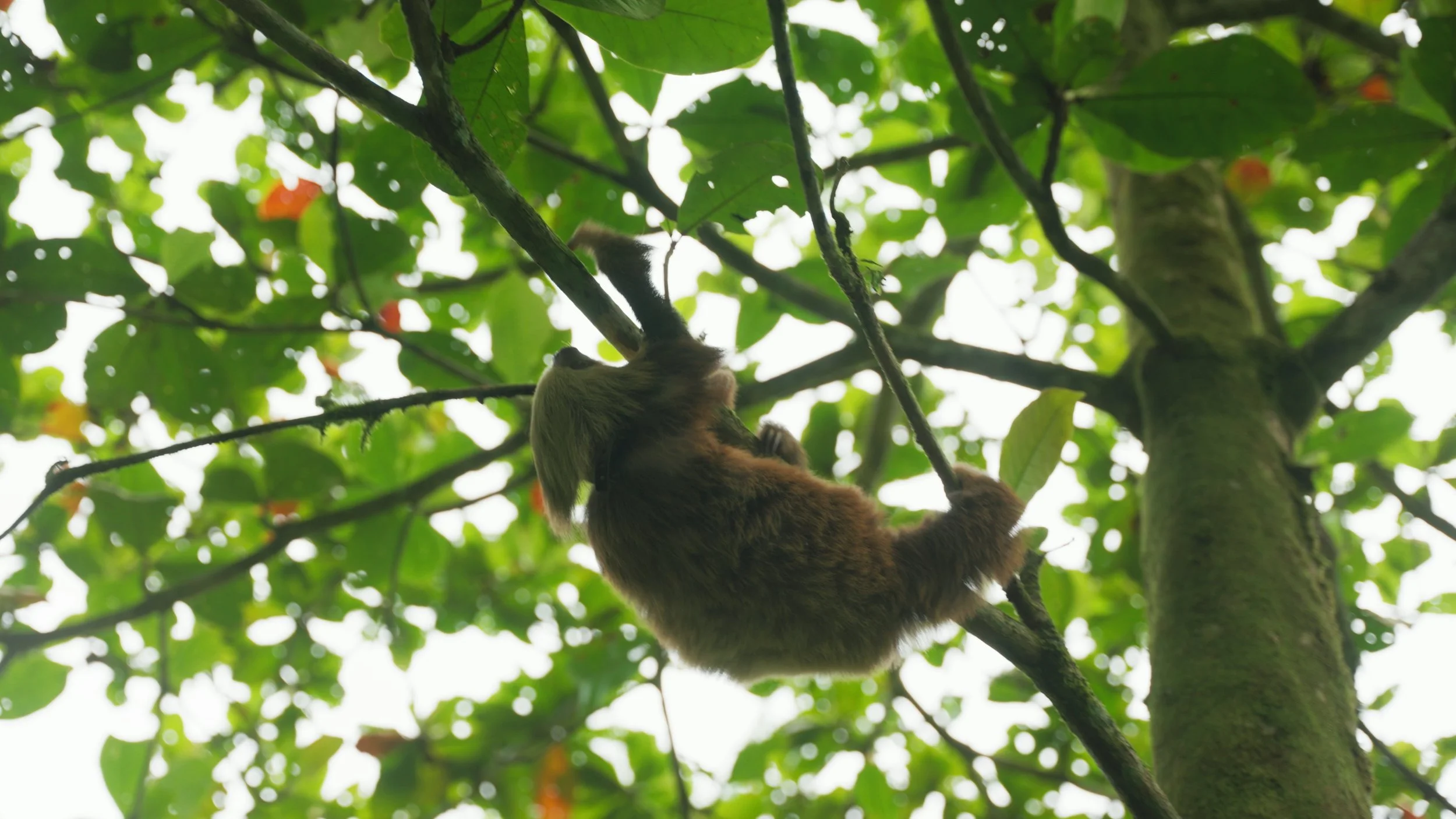 Still 2025-12-18 213052_2.55.1.jpg