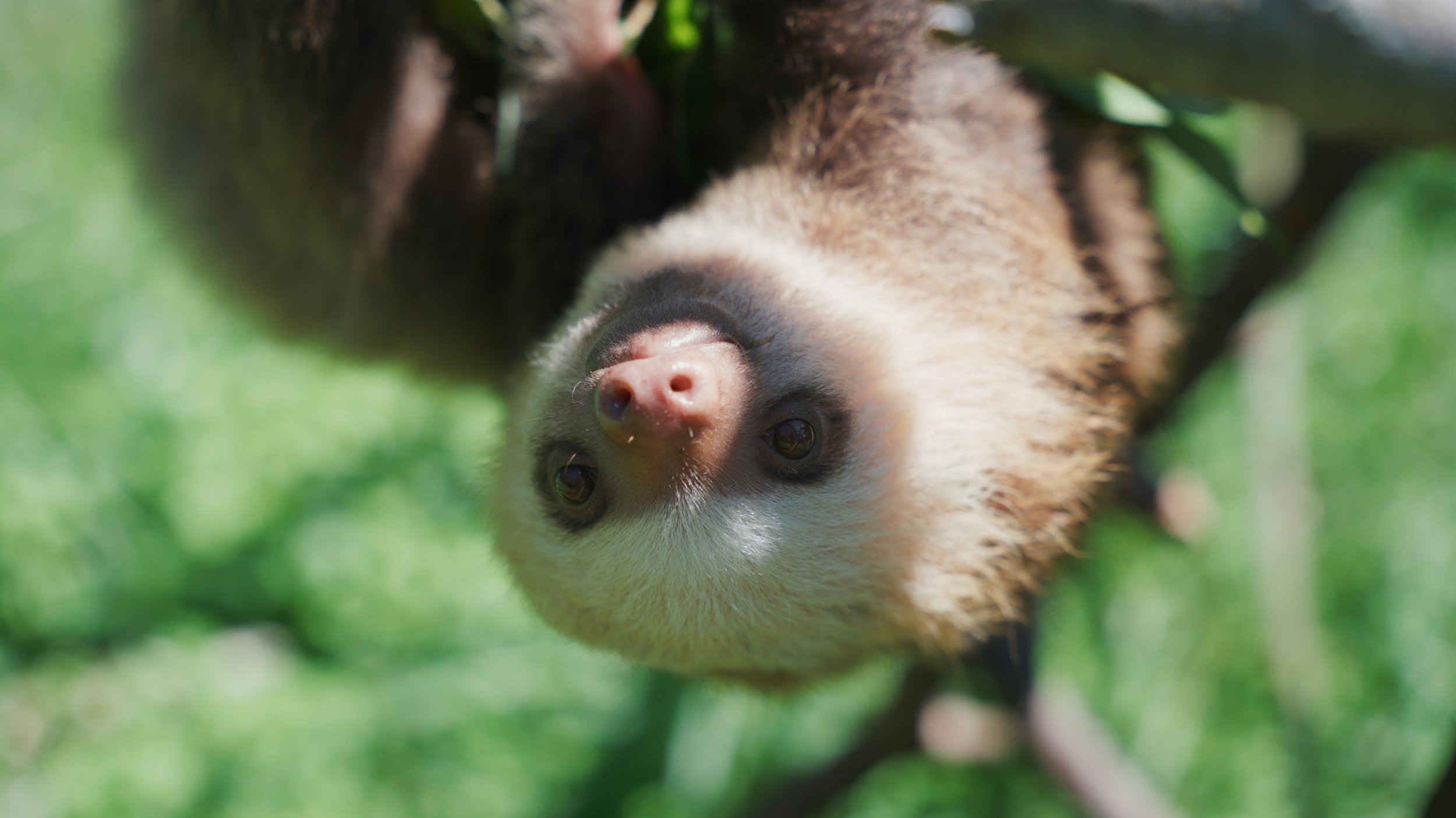 Still 2025-12-18 213052_1.5.6.jpg