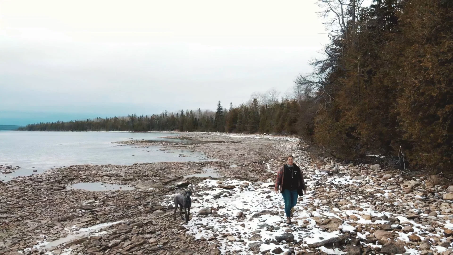 Still 2024-12-08 170924_1.1.7.jpg