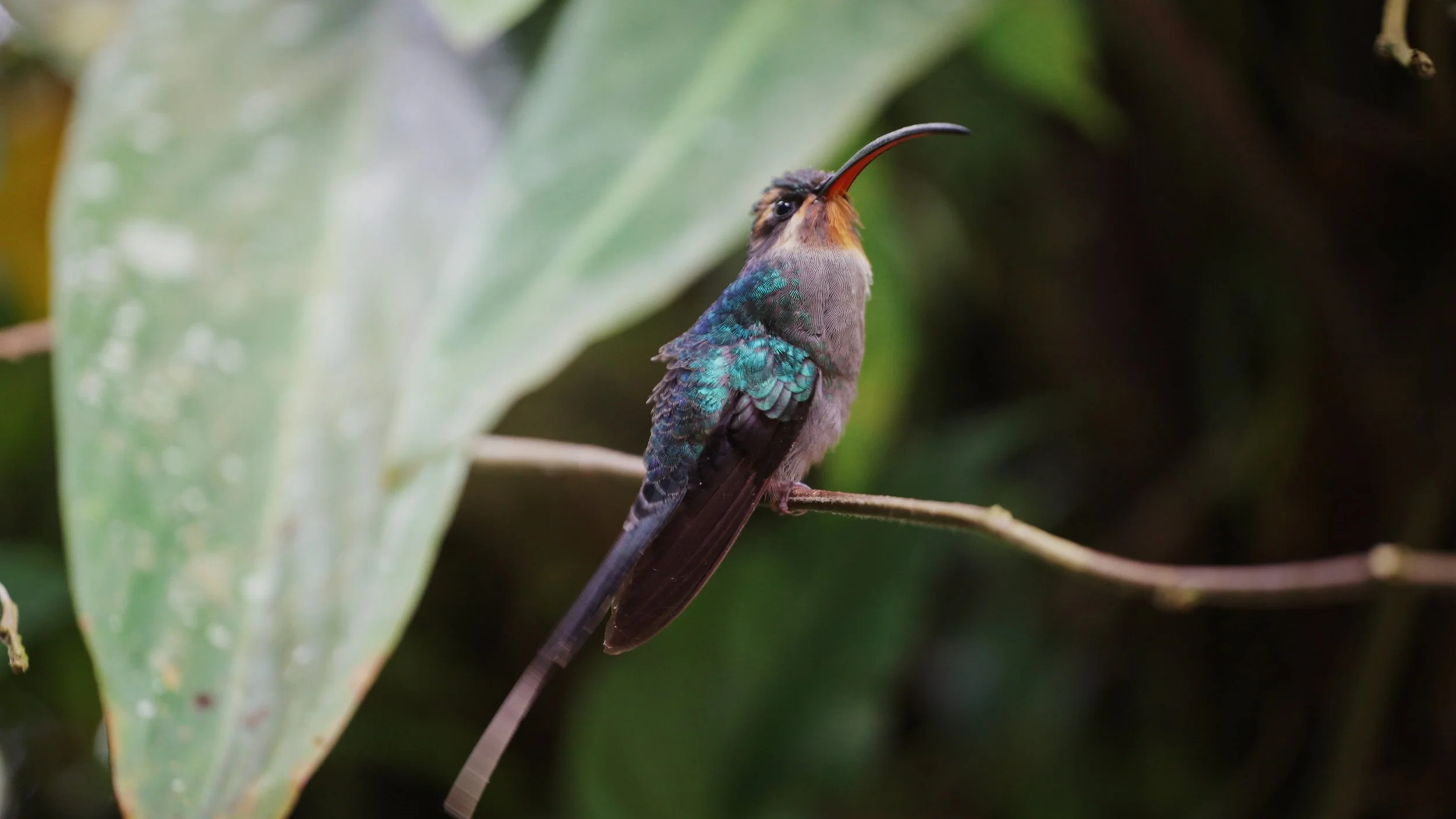 Still 2025-12-18 213052_3.8.1.jpg