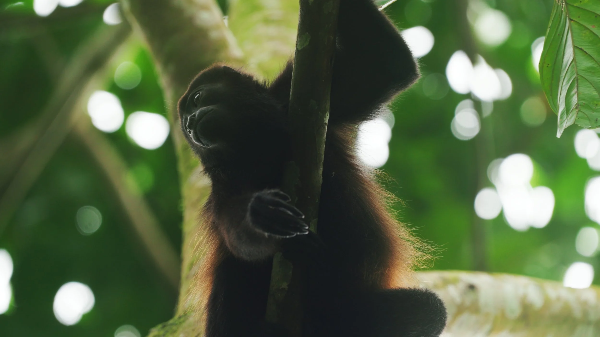 Still 2025-12-18 213052_2.58.2.jpg