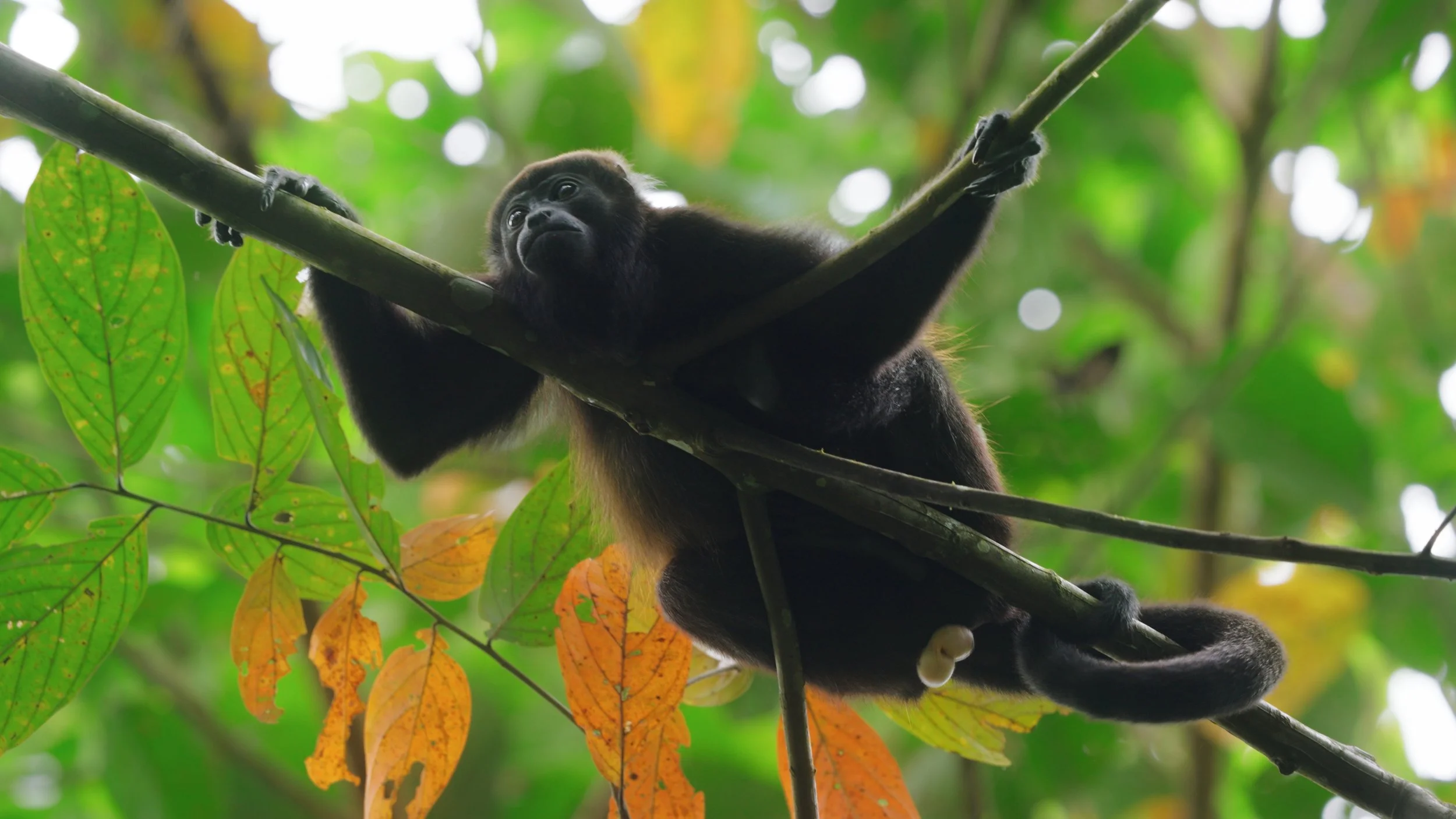 Still 2025-12-18 213052_2.11.2.jpg