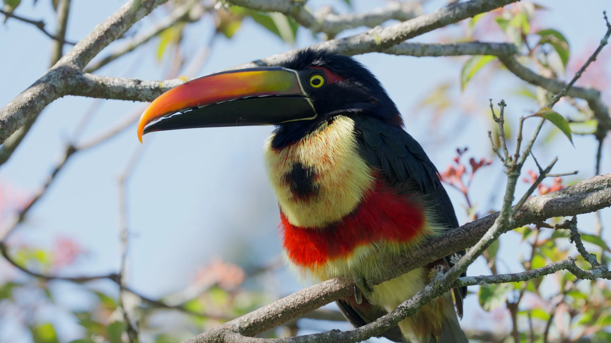 Still 2025-12-18 213052_2.9.1.jpg