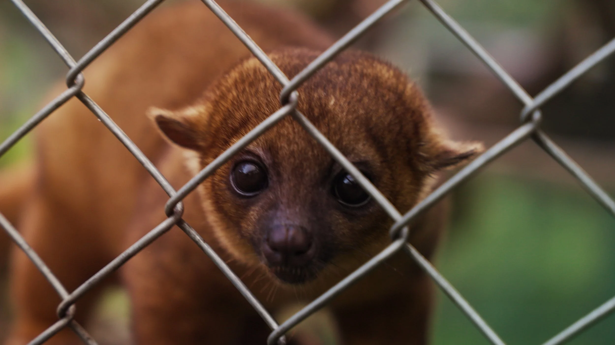 Still 2025-12-18 213052_2.26.1.jpg