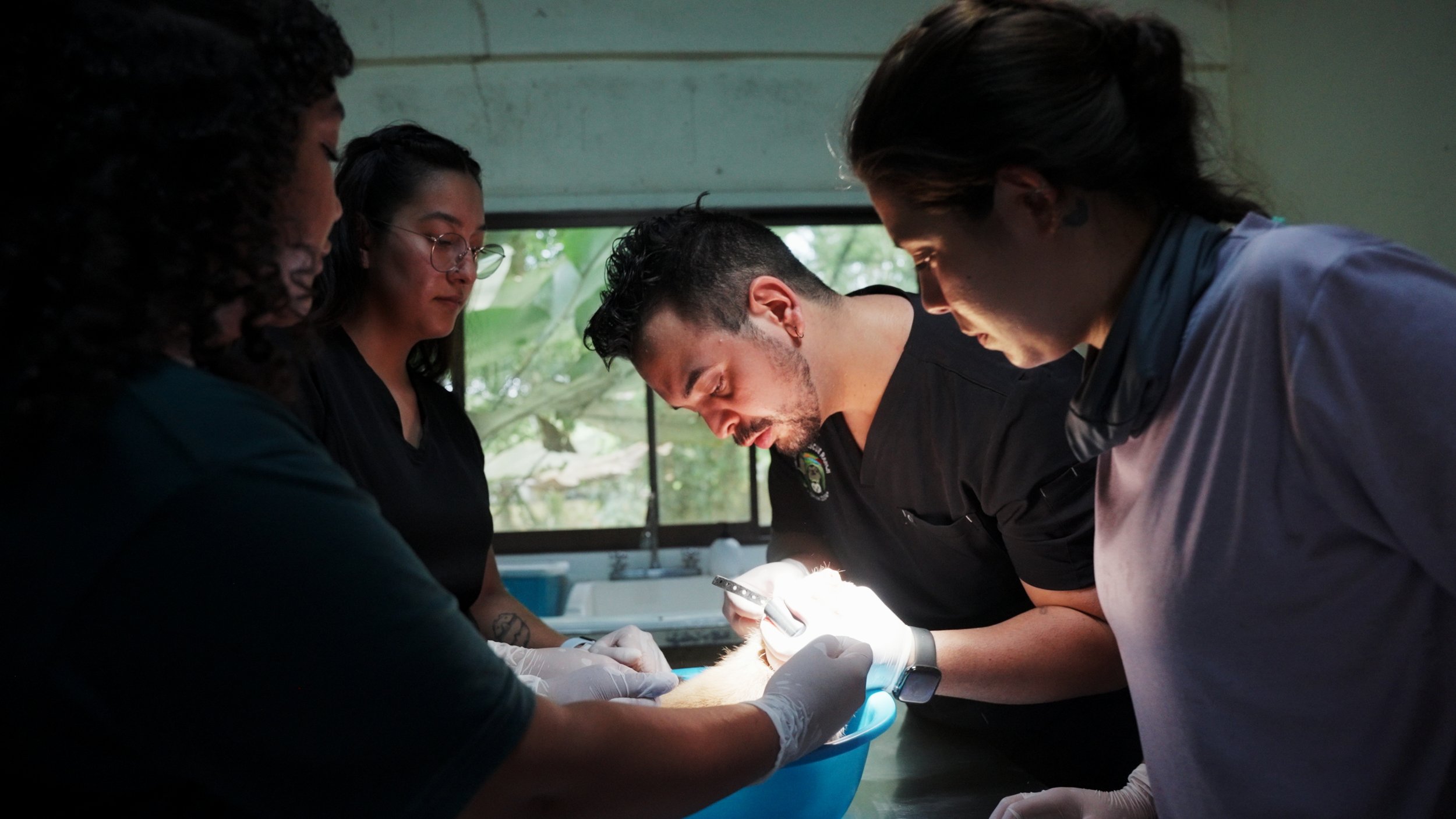 Still 2025-12-18 213052_1.4.6.jpg