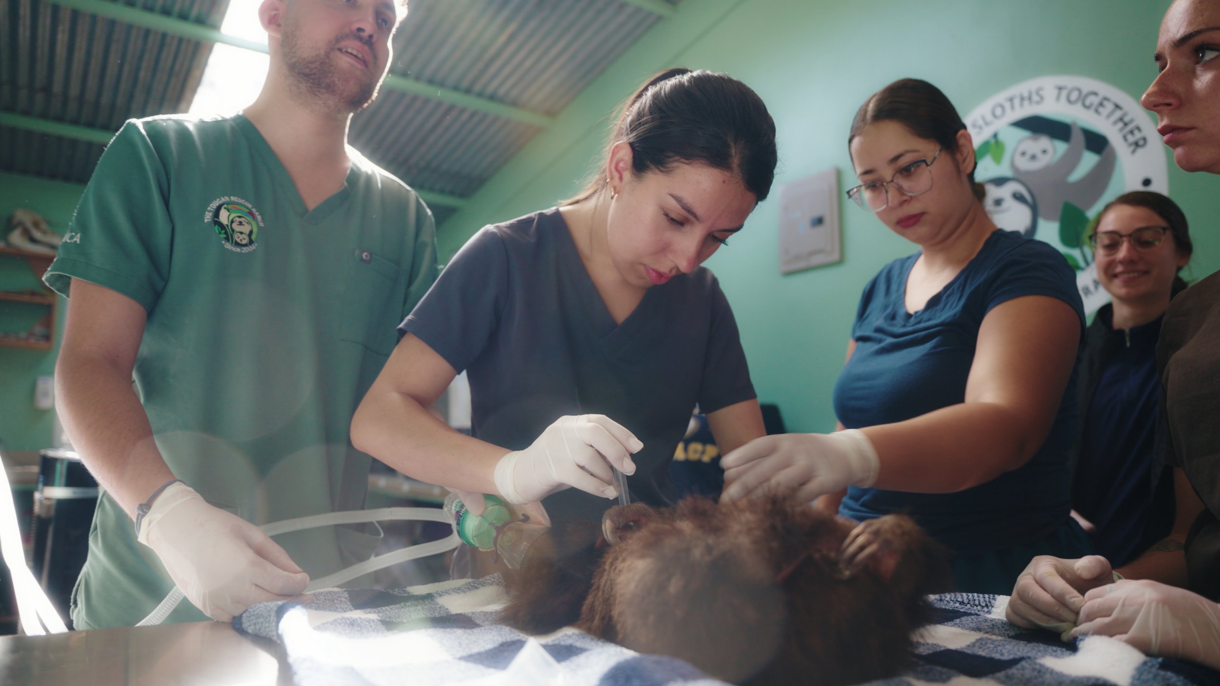 Still 2025-12-18 213052_2.16.1.jpg