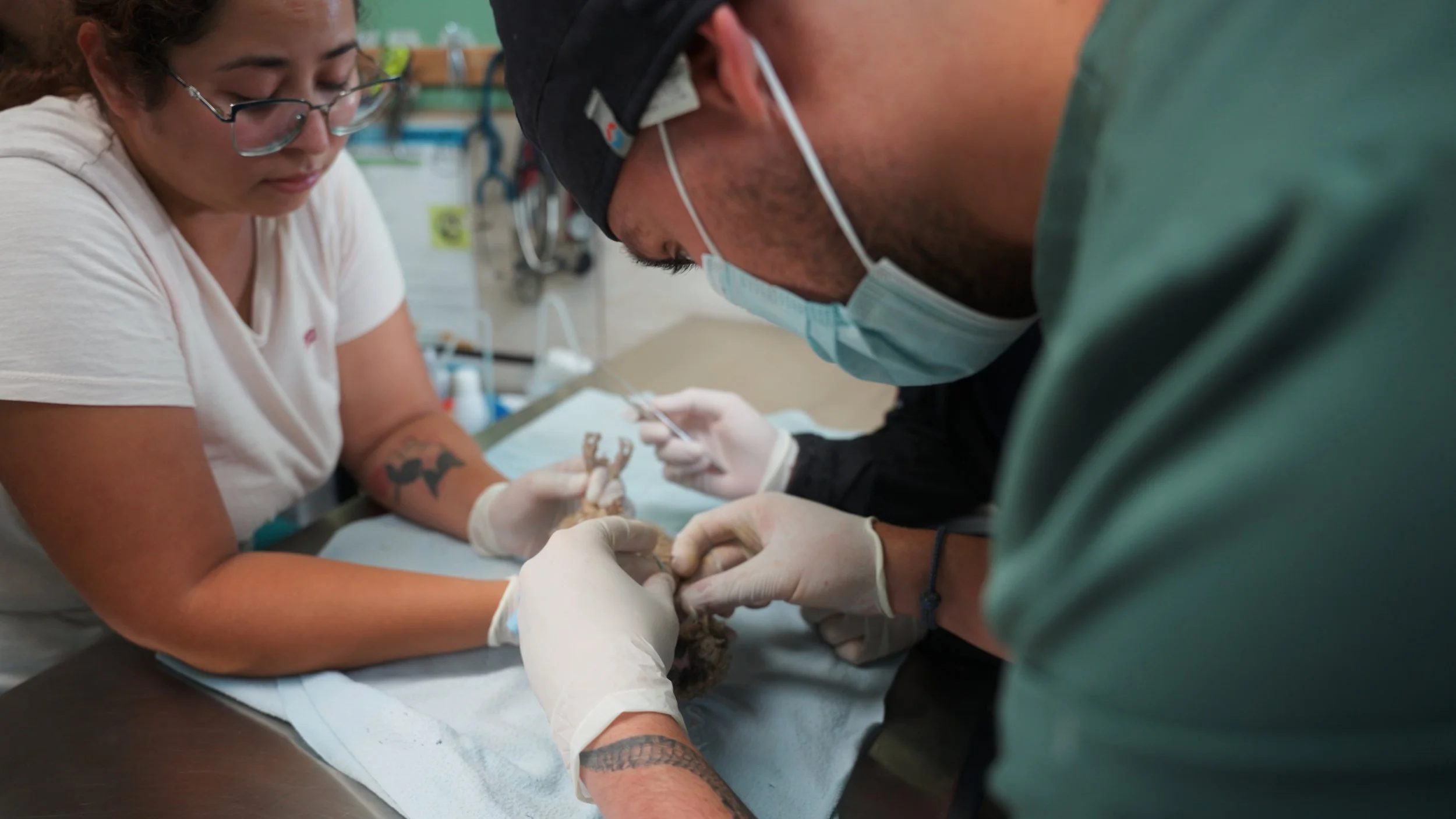 Still 2025-12-18 213052_2.29.1.jpg