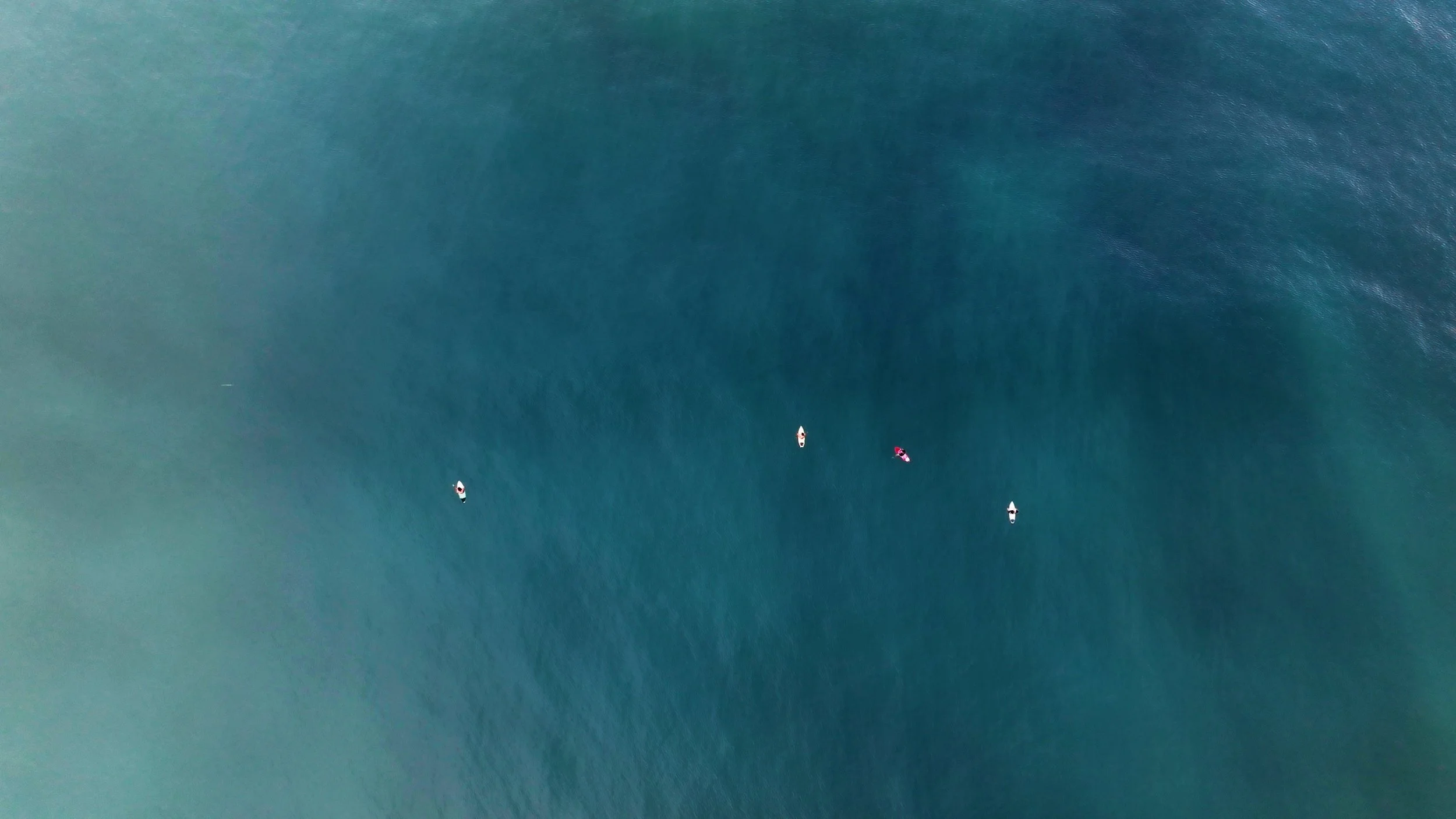 Still 2026-01-30 125538_1.14.1.jpg