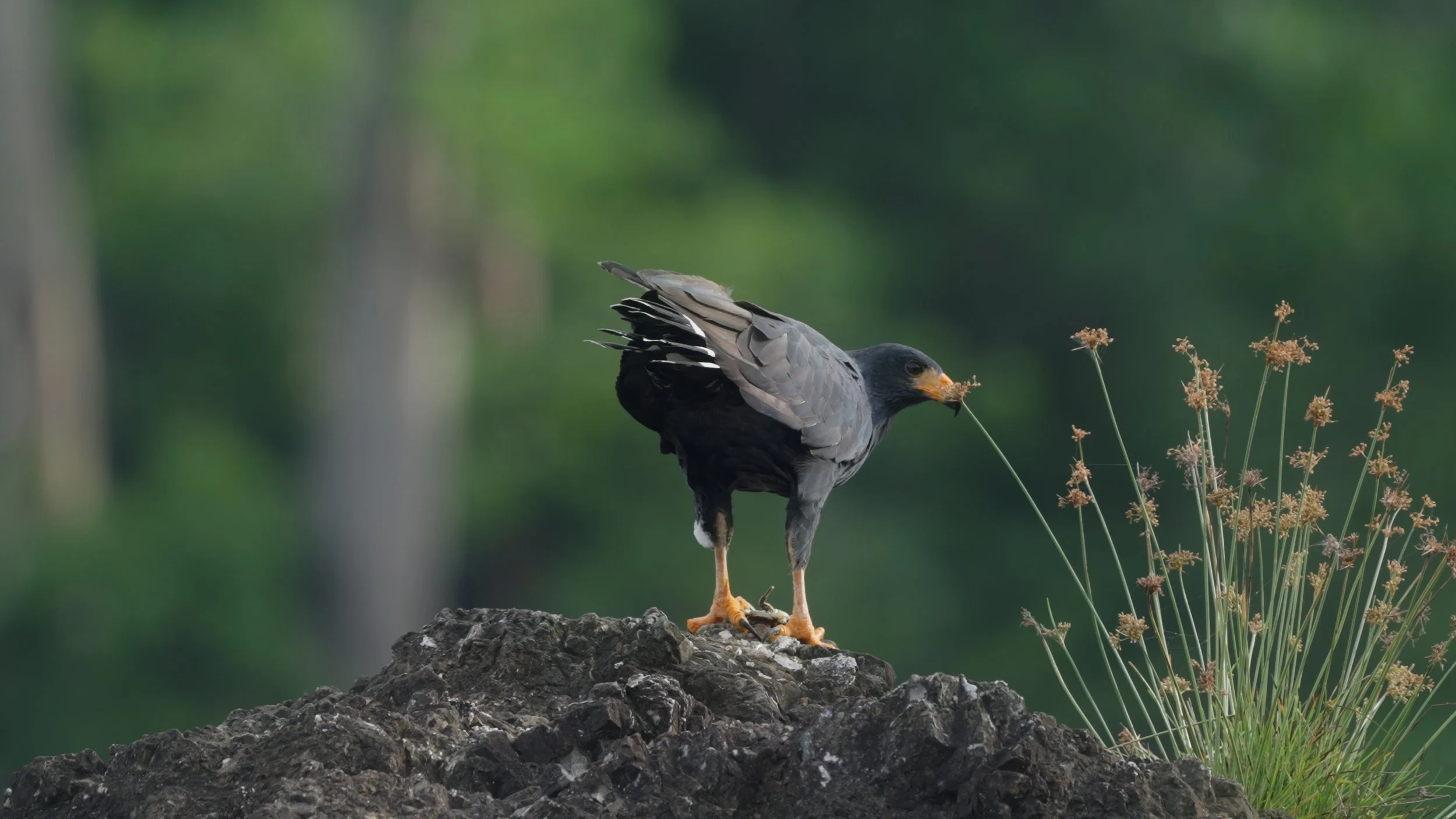 Still 2025-12-18 213052_2.13.1.jpg