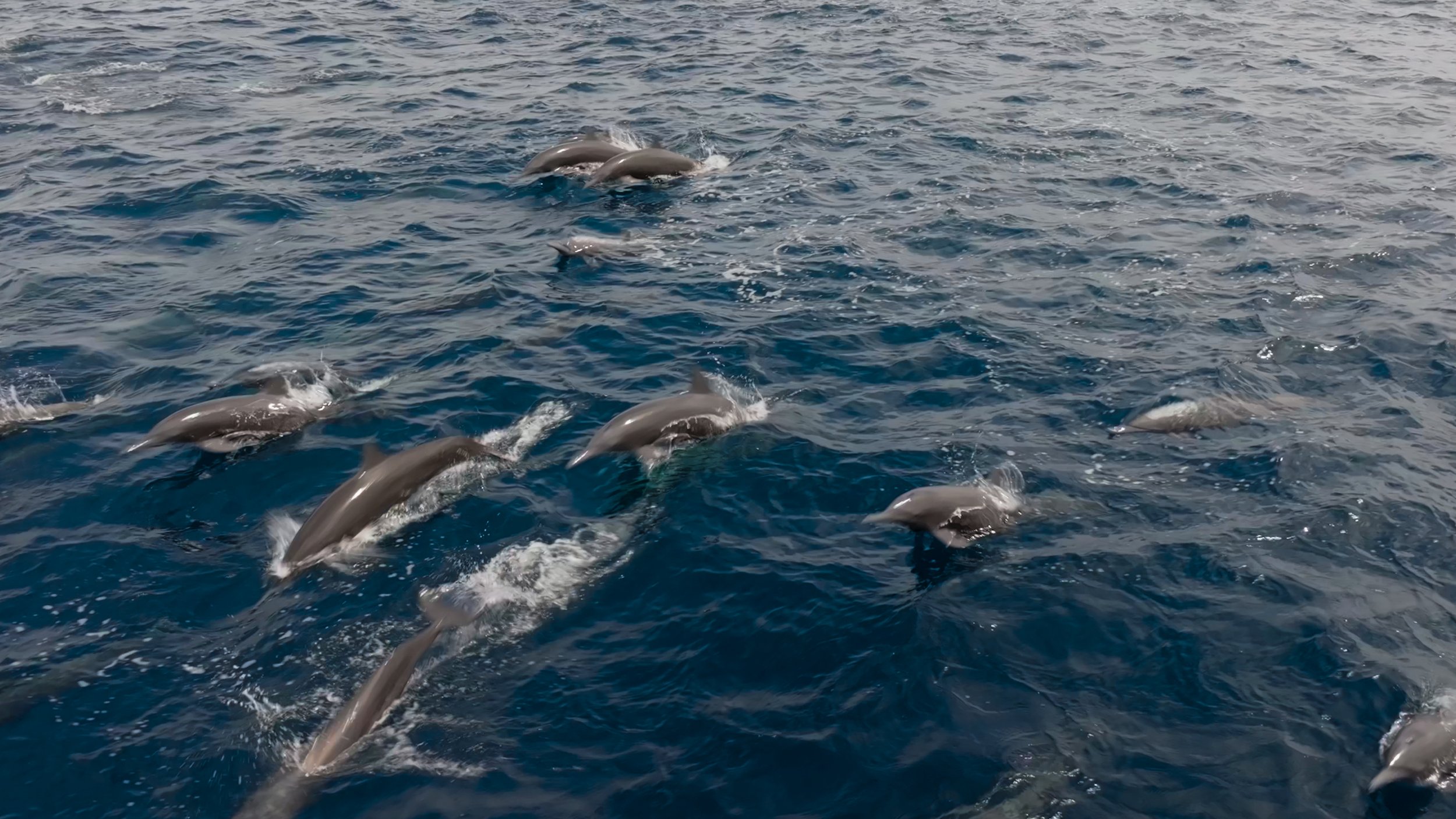 Still 2025-12-18 213052_2.4.1.jpg