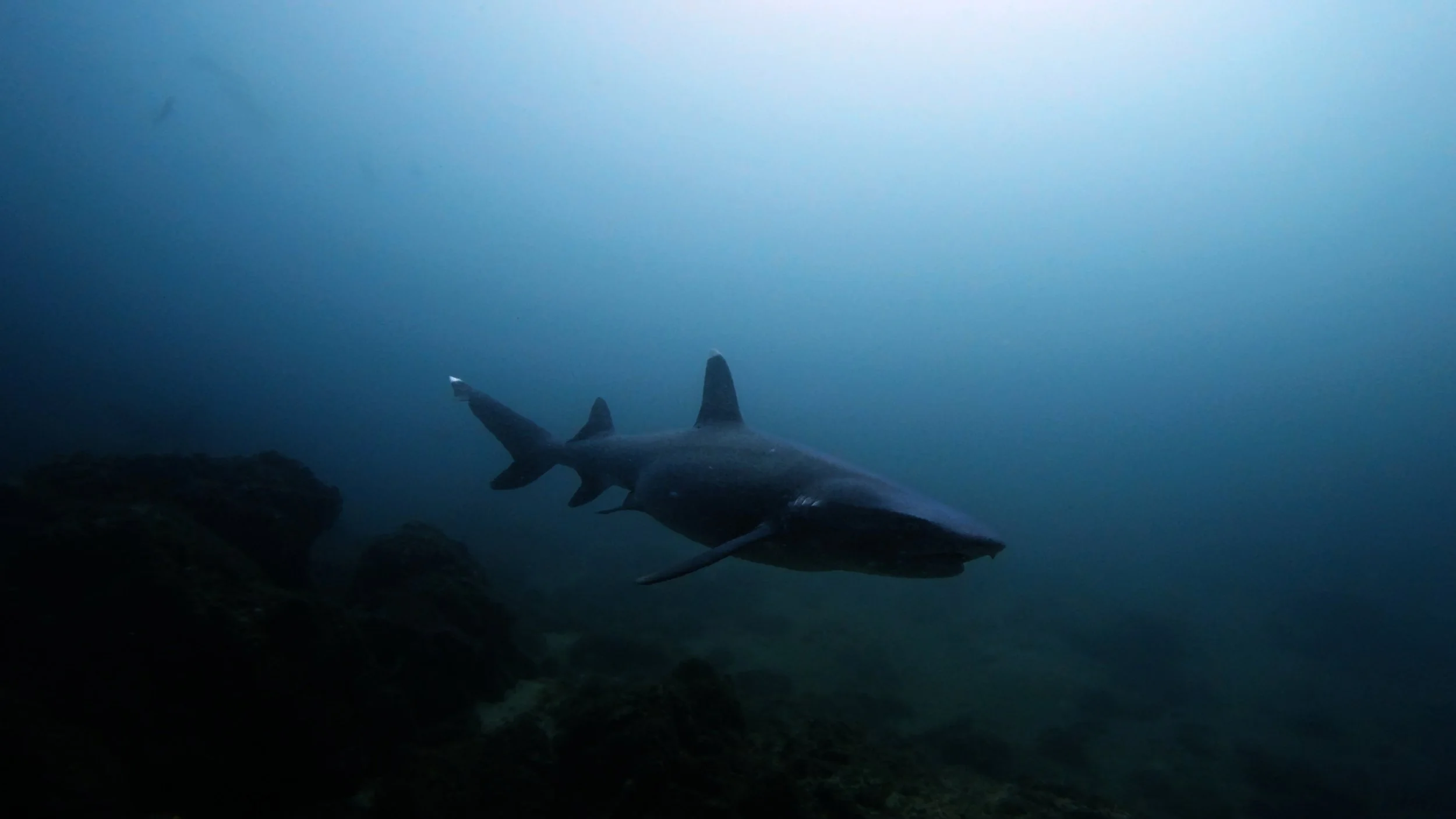 Still 2026-02-04 235556_4.1.1.jpg