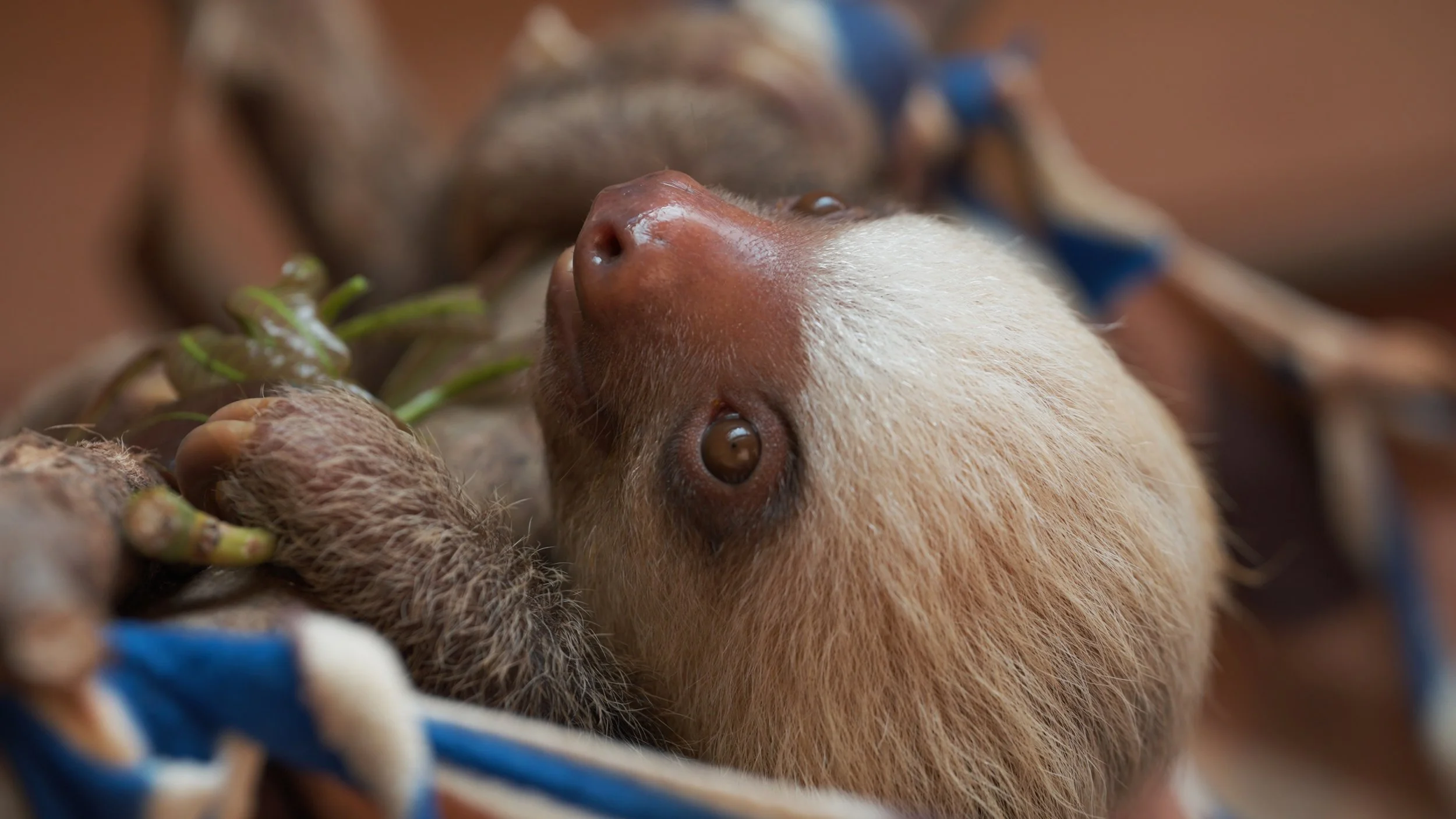 Still 2025-12-18 213052_1.5.11.jpg