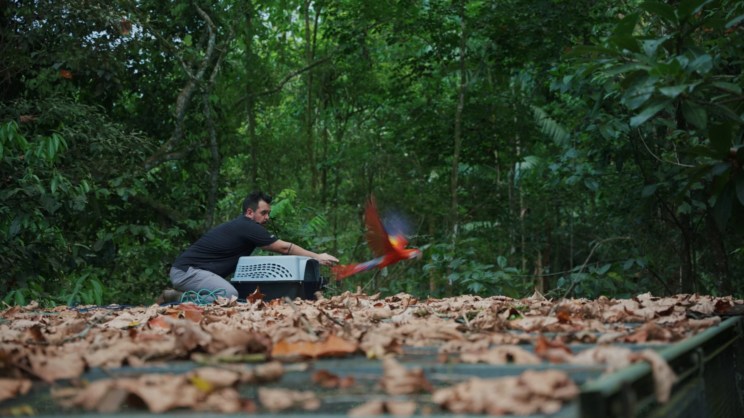 Still 2025-12-18 213052_2.52.1.jpg