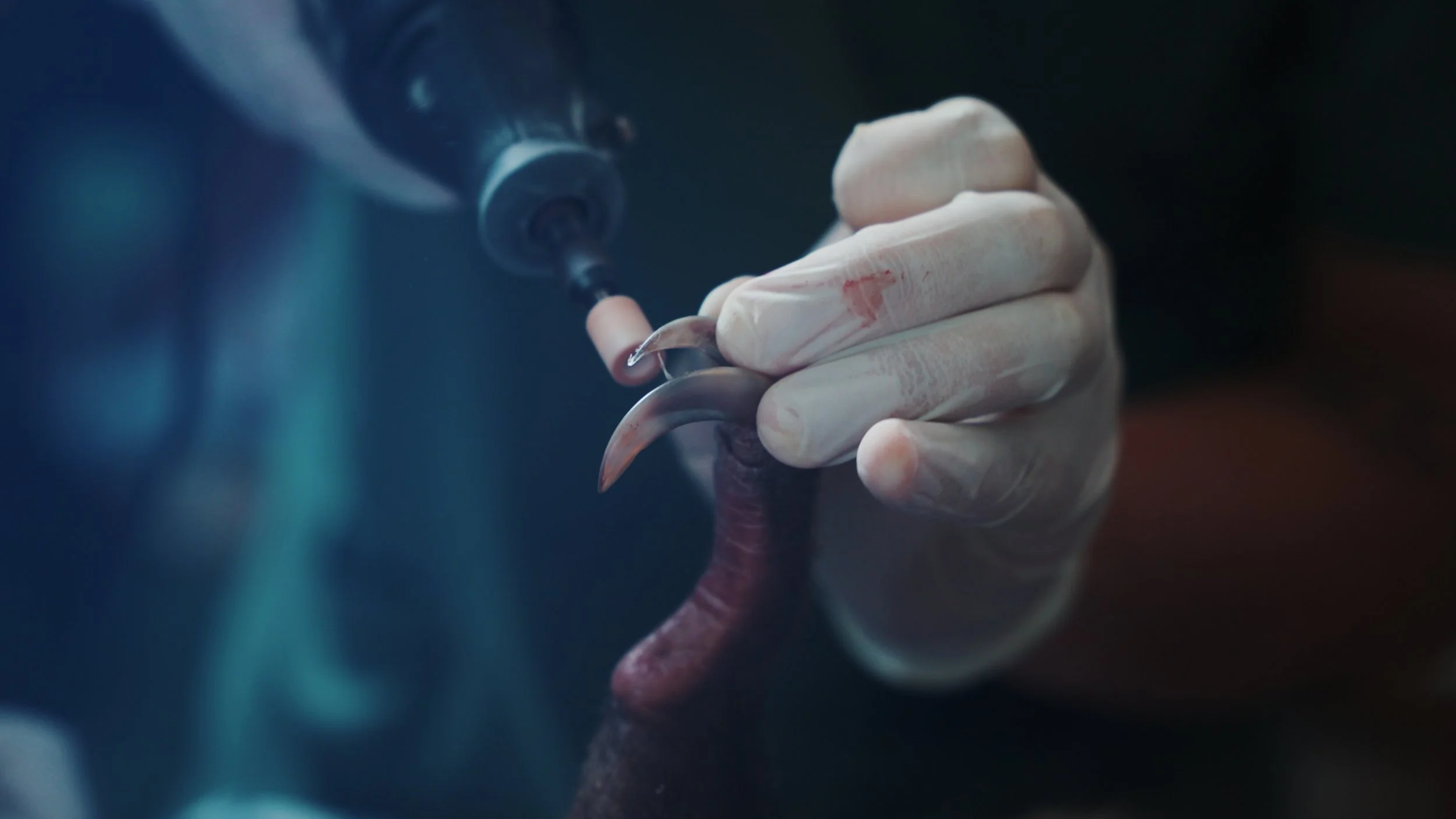 Still 2025-12-18 213052_2.35.1.jpg