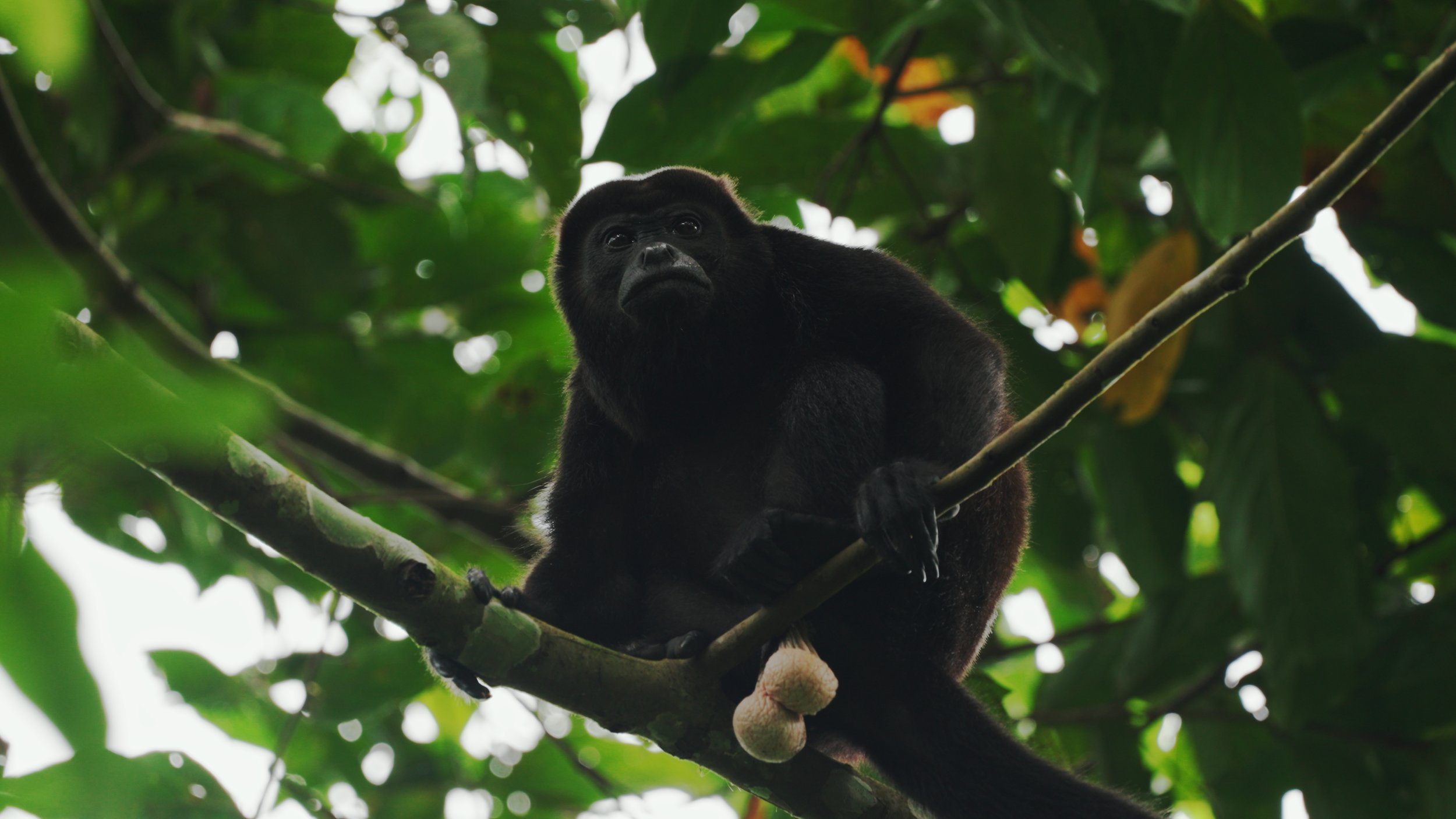 Still 2025-12-18 213052_2.57.4.jpg