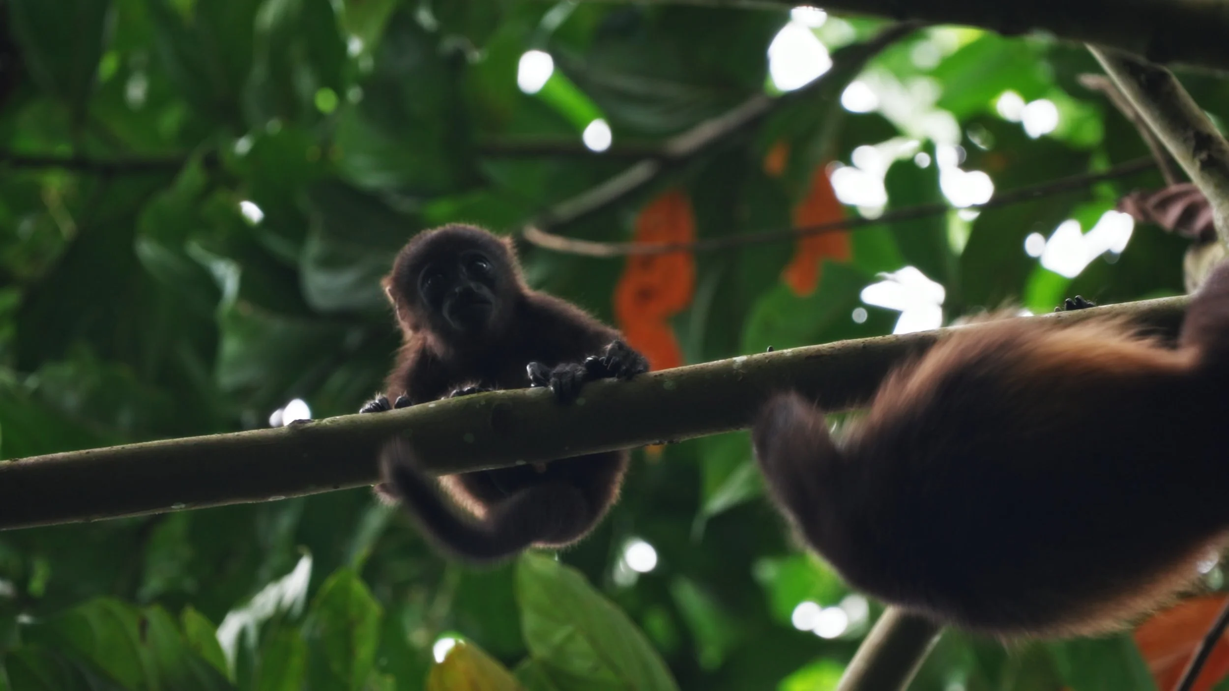 Still 2025-12-18 213052_1.9.3.jpg