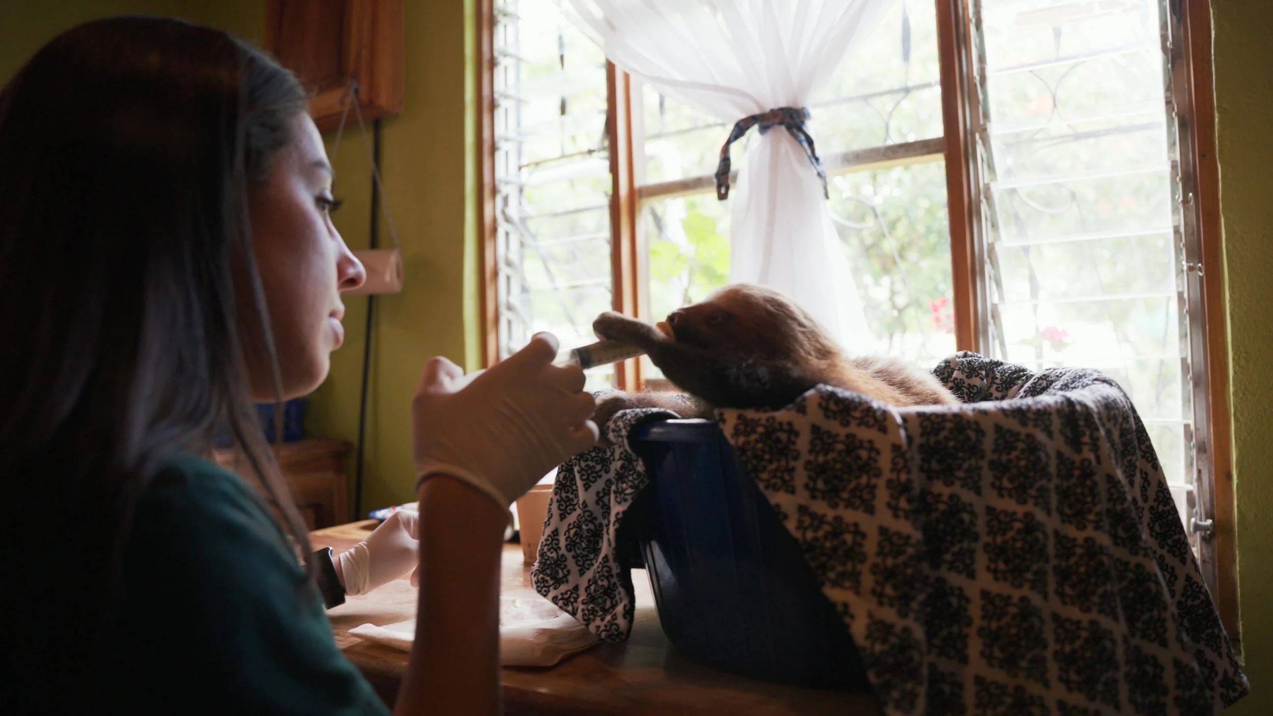 Still 2025-12-18 213052_1.5.2.jpg