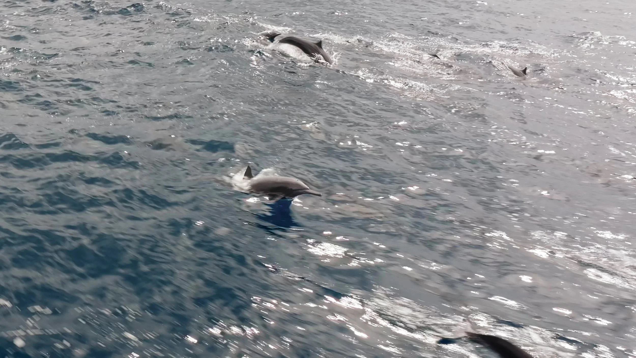 Still 2026-02-04 235556_3.8.1.jpg