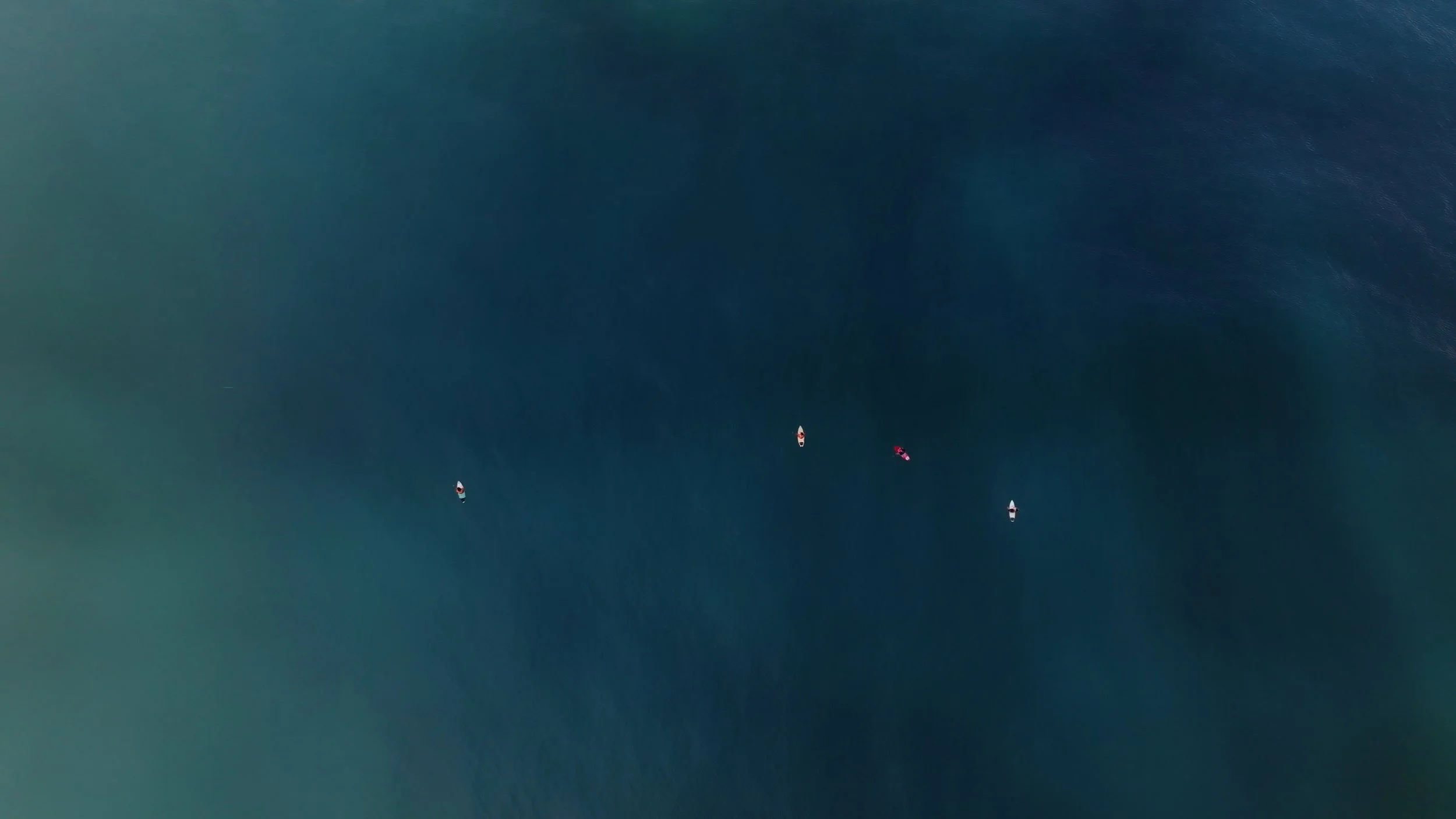 Still 2026-02-04 235556_3.1.1.jpg