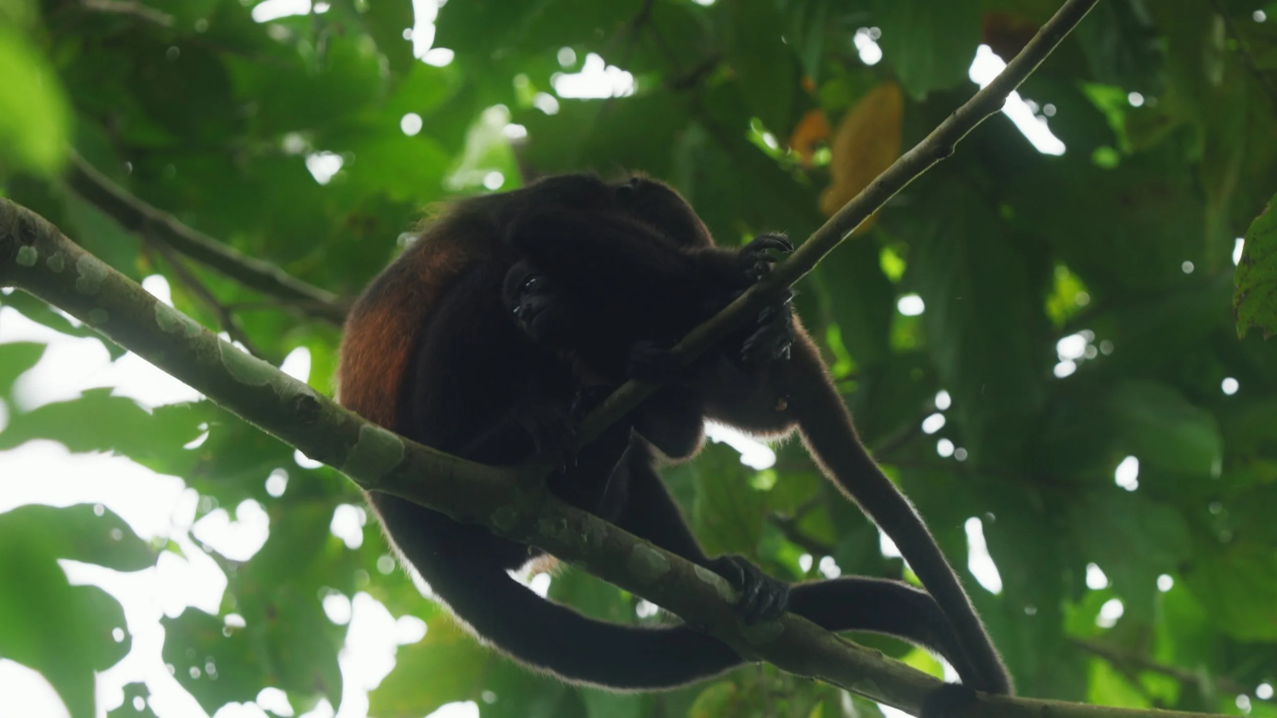 Still 2025-12-18 213052_1.8.1.jpg